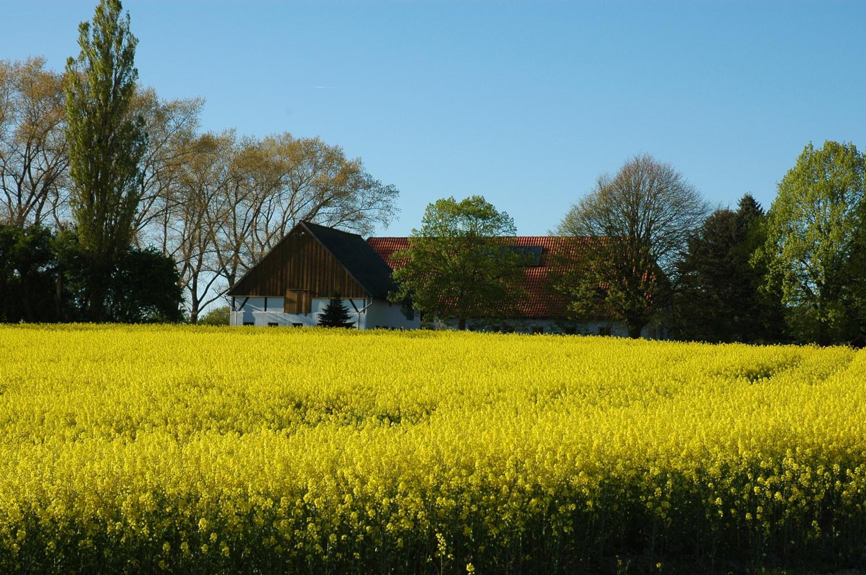 Holsteinhaus-Zirmoisel Ruhe und Natur eigene Sauna