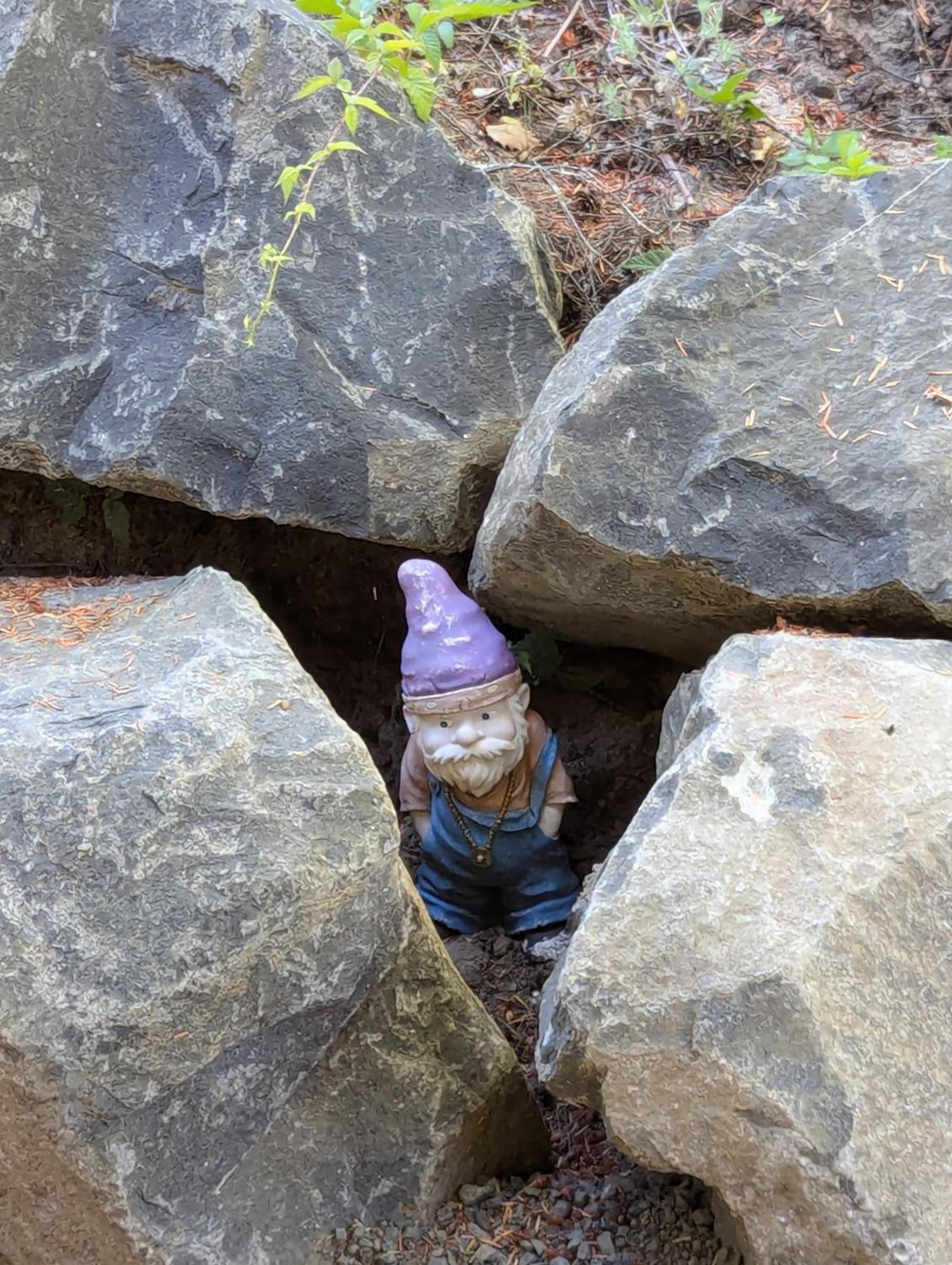 Gnome Home