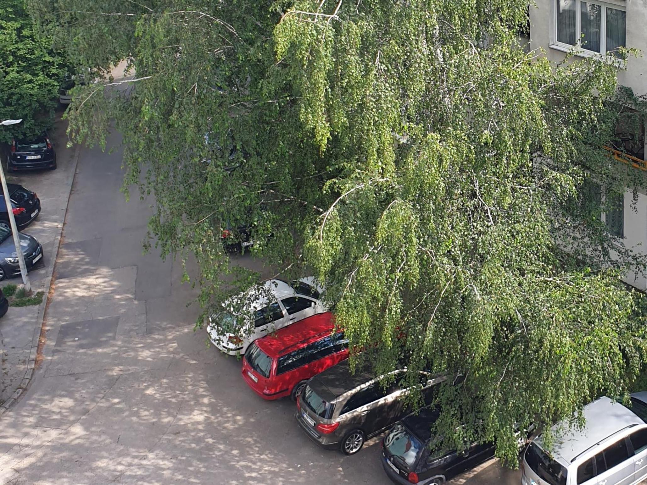 Studio Apartman Libero
