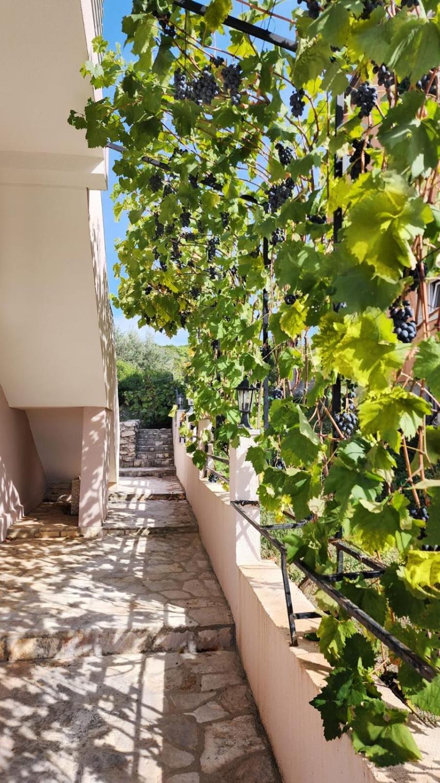 Villa Vukic photo 2
