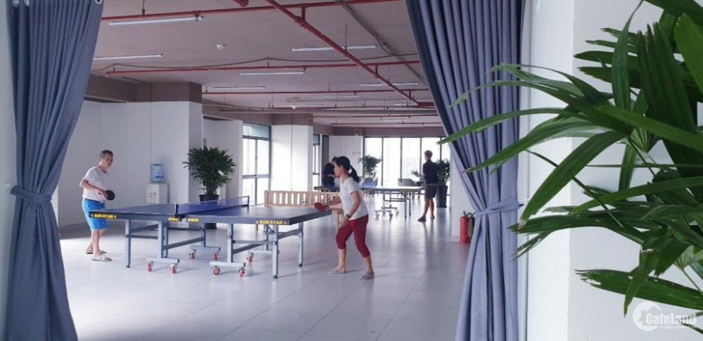 Loft 1 BR with with unique and splendid design, La astoria 3, Appartment, Dist 2