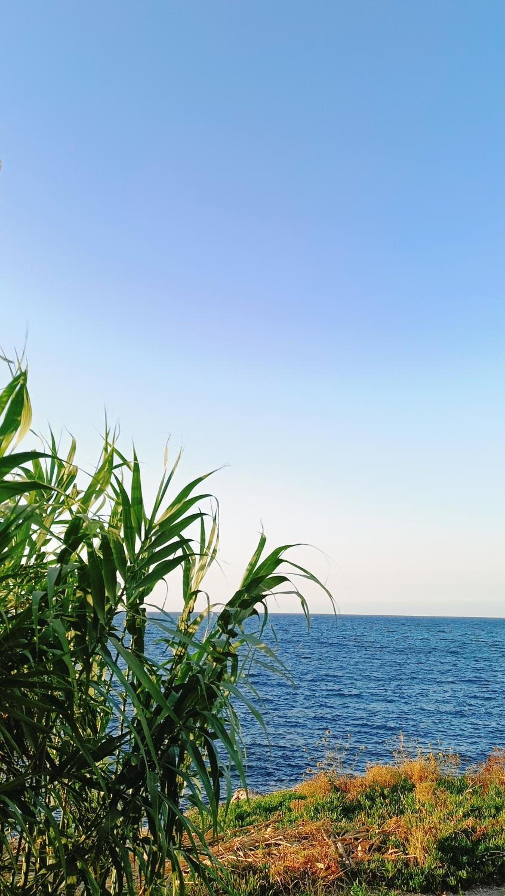 LA TERRAZZA SUL MARE camera fronte mare&vicino aereoporto SICILIAN VINTAGE STYLE SEASIDE ROOM photo 5