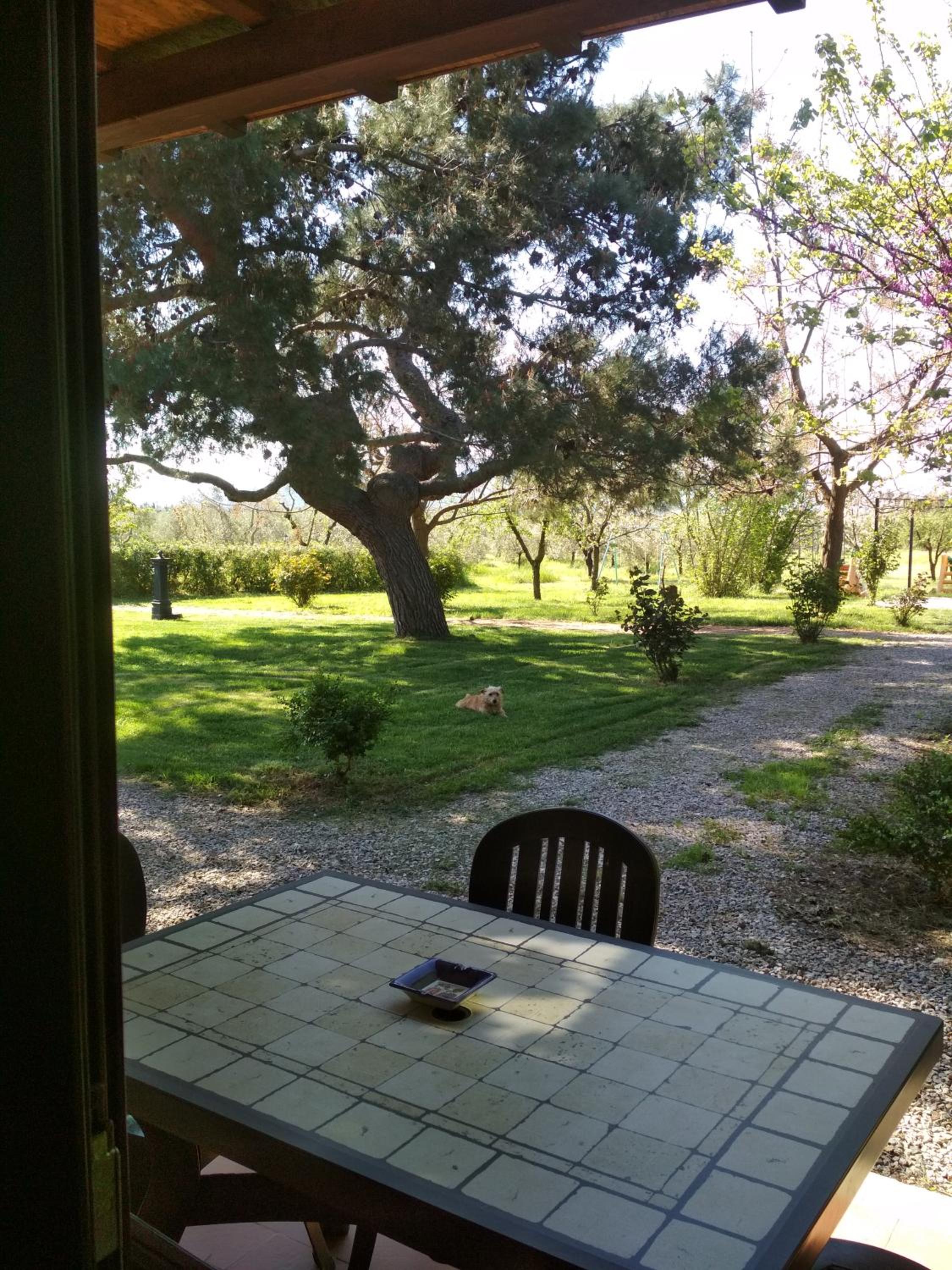 Photo 18