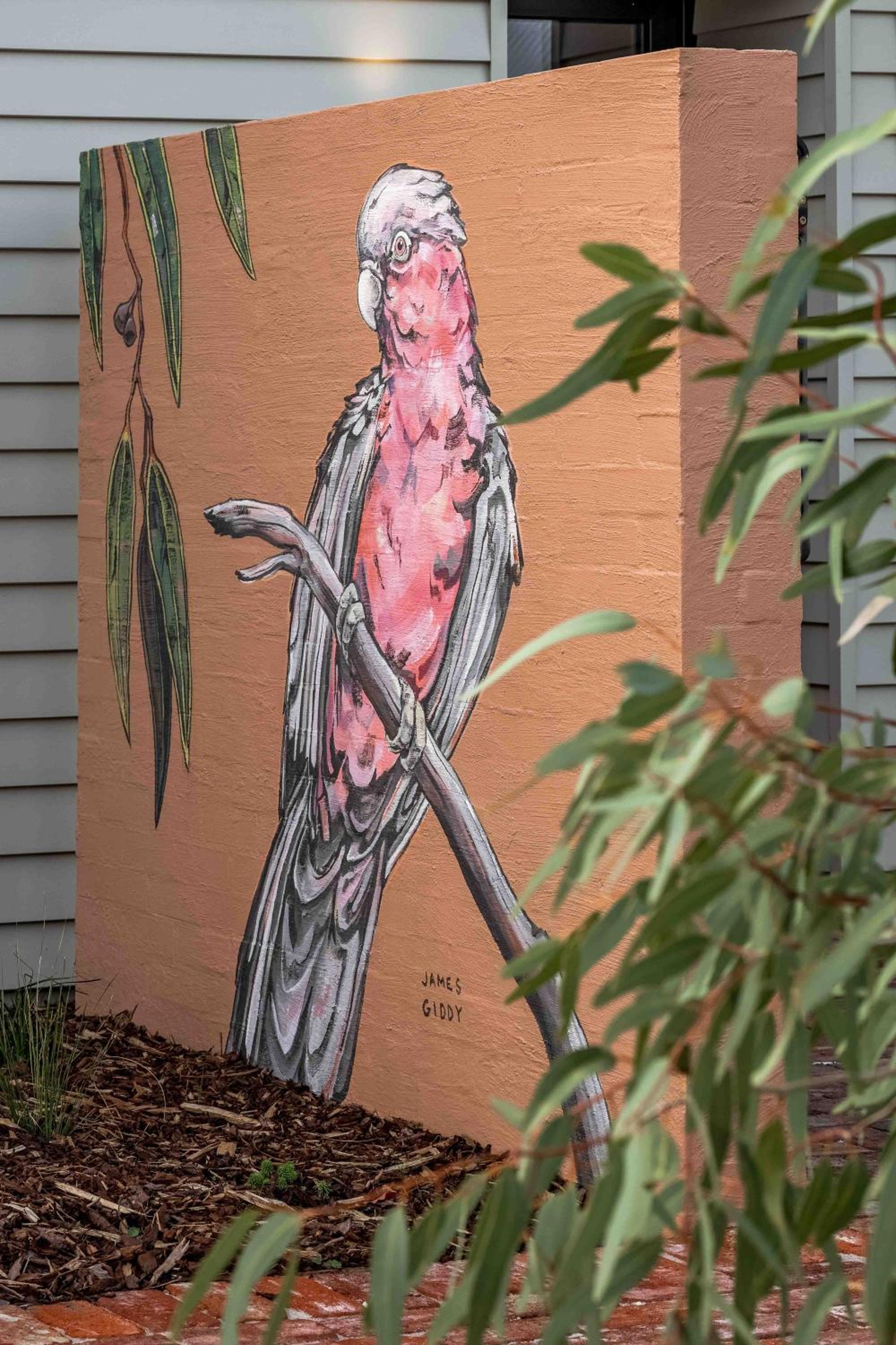 Birdnest Galah