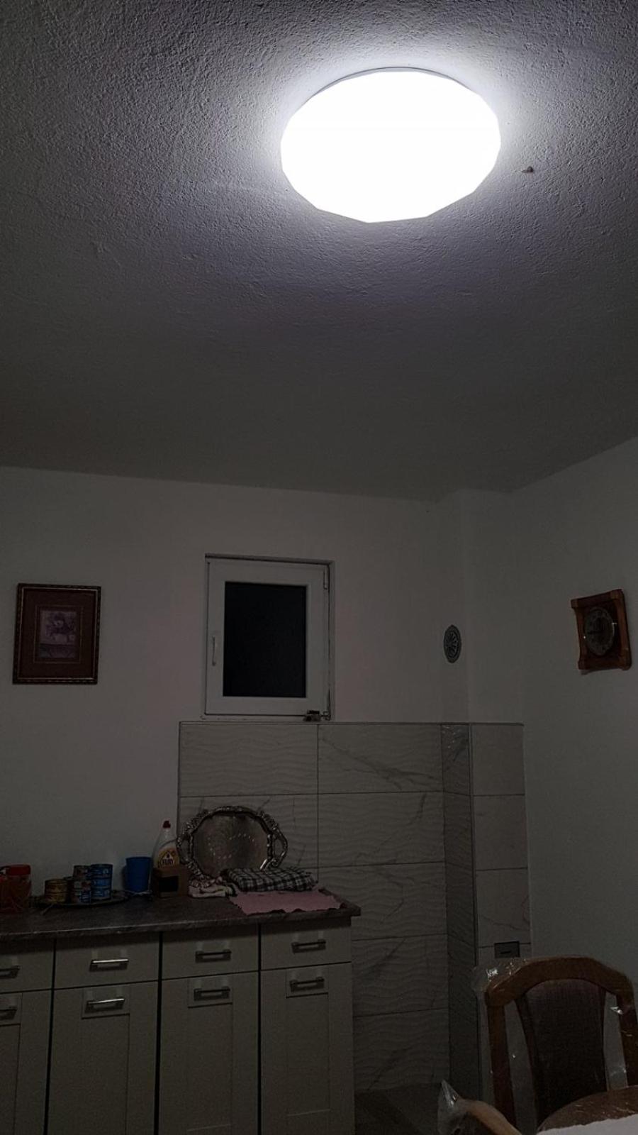 Šumska zora