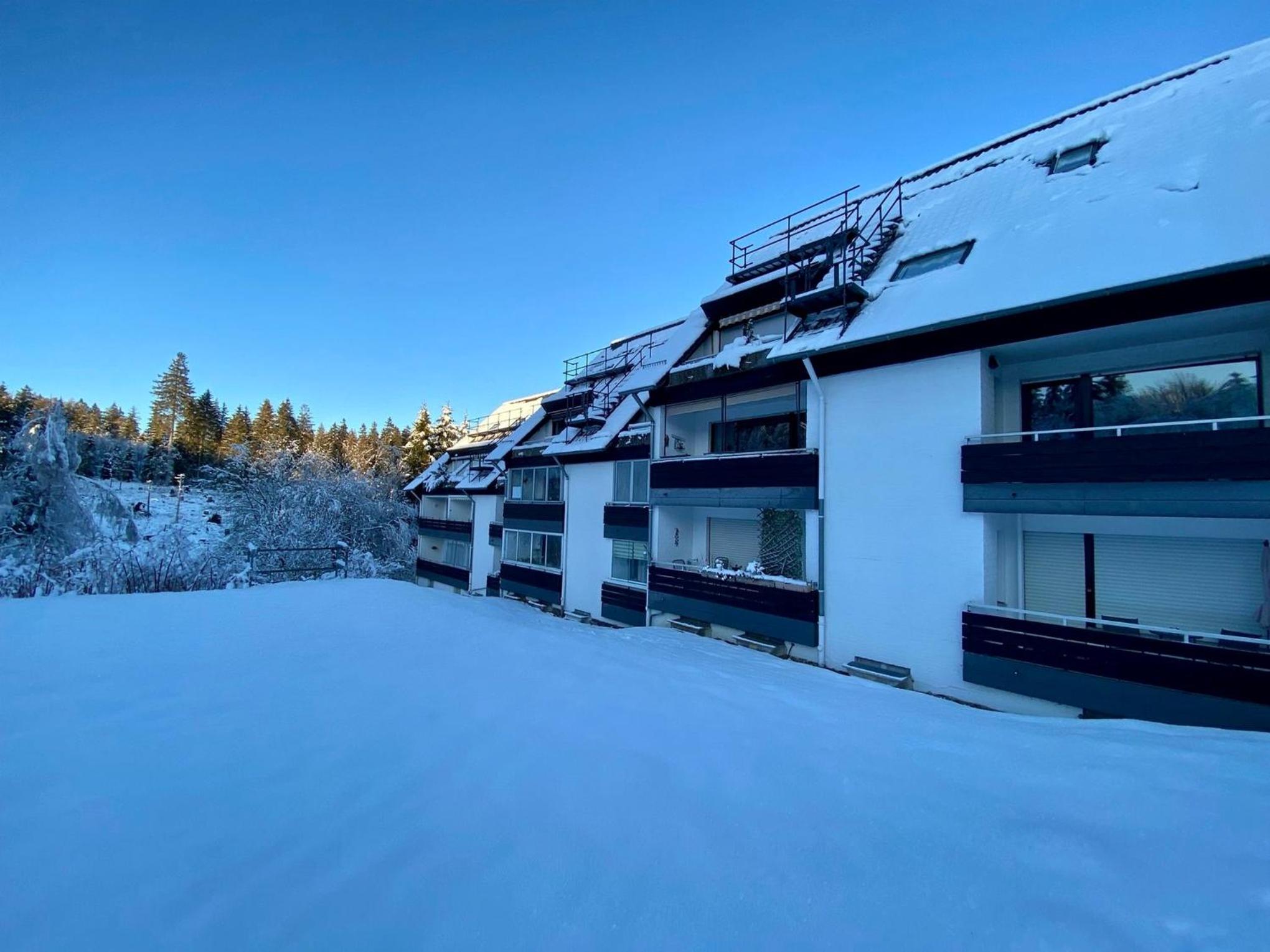 Ferienwohnung Waldgänger Hahnenklee