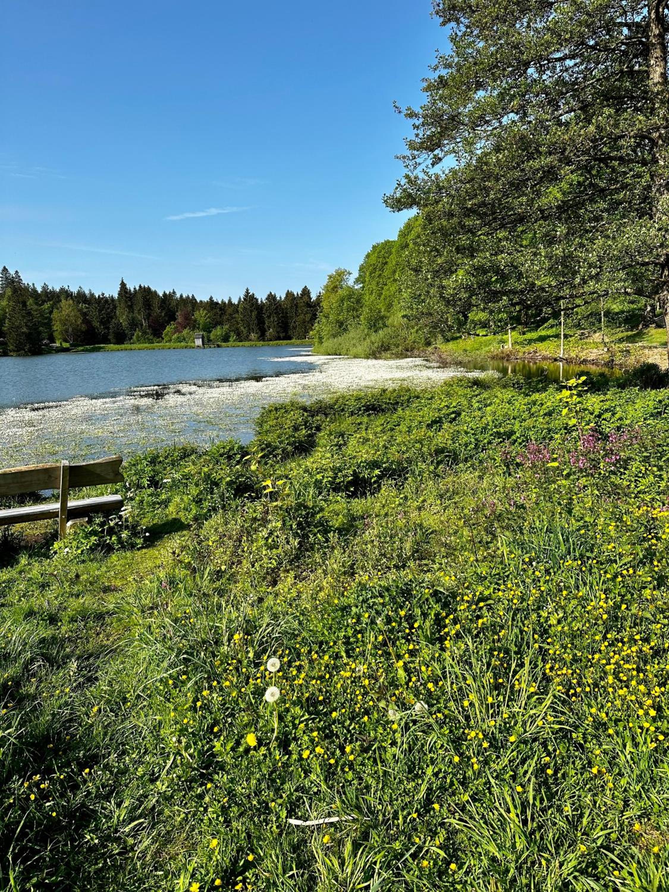 Ferienwohnung Waldgänger Hahnenklee