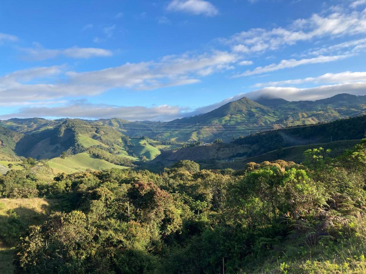 Cabaña de madera, lugar para descansar y reconectarse