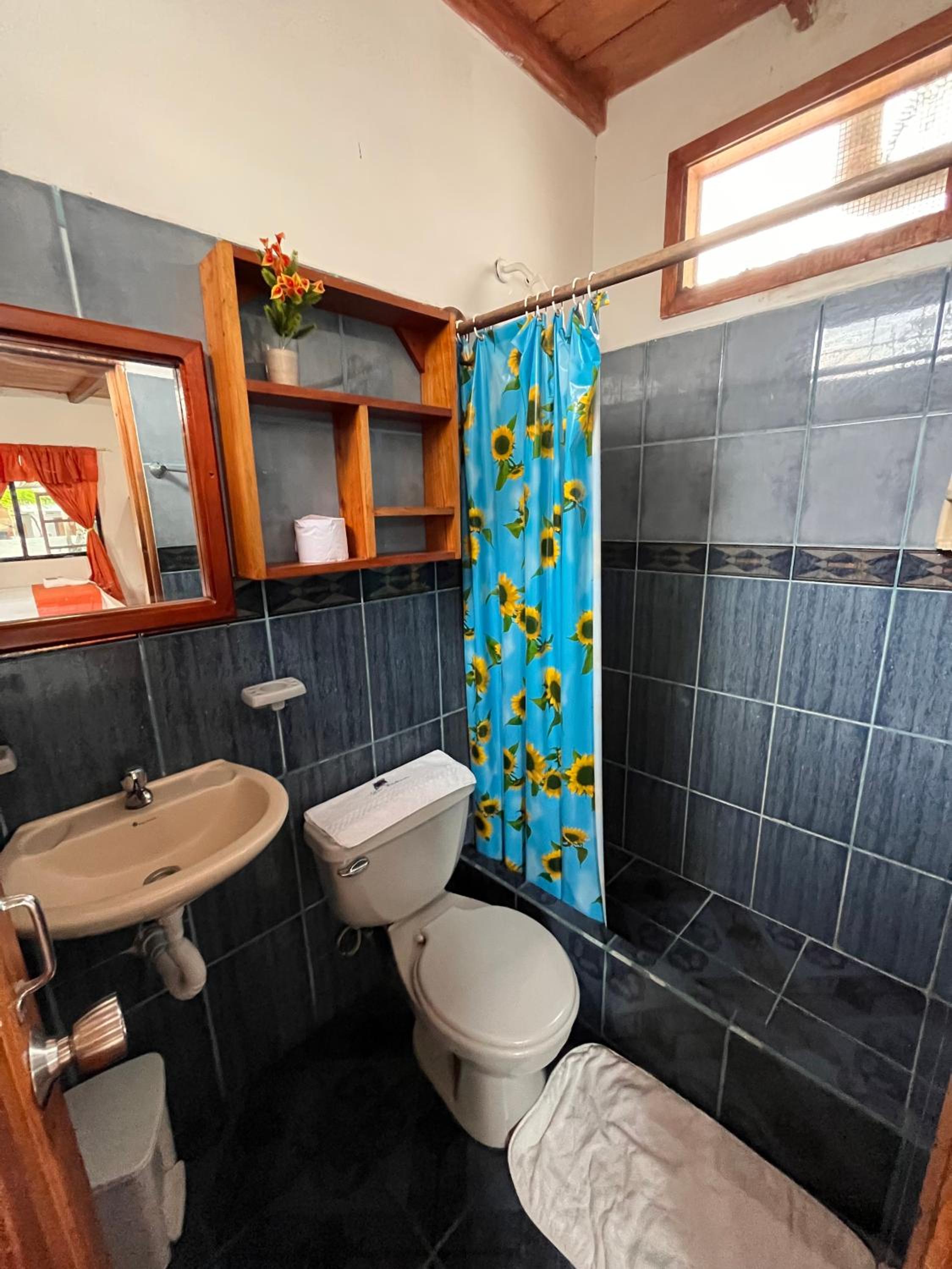 Las Gardenias Hostel - Starlink Internet