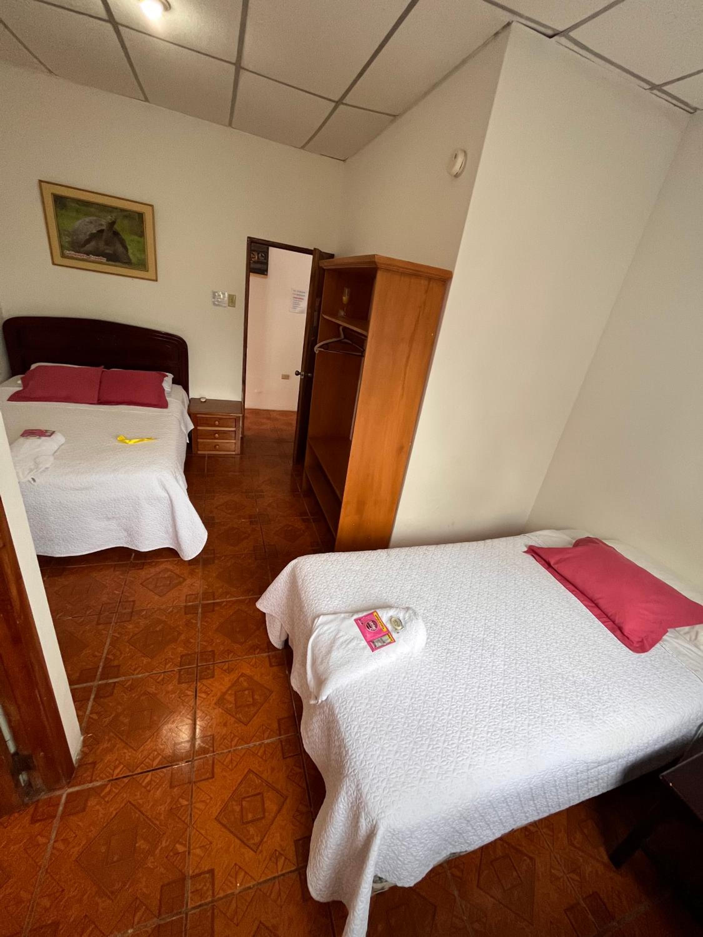 Las Gardenias Hostel - Starlink Internet
