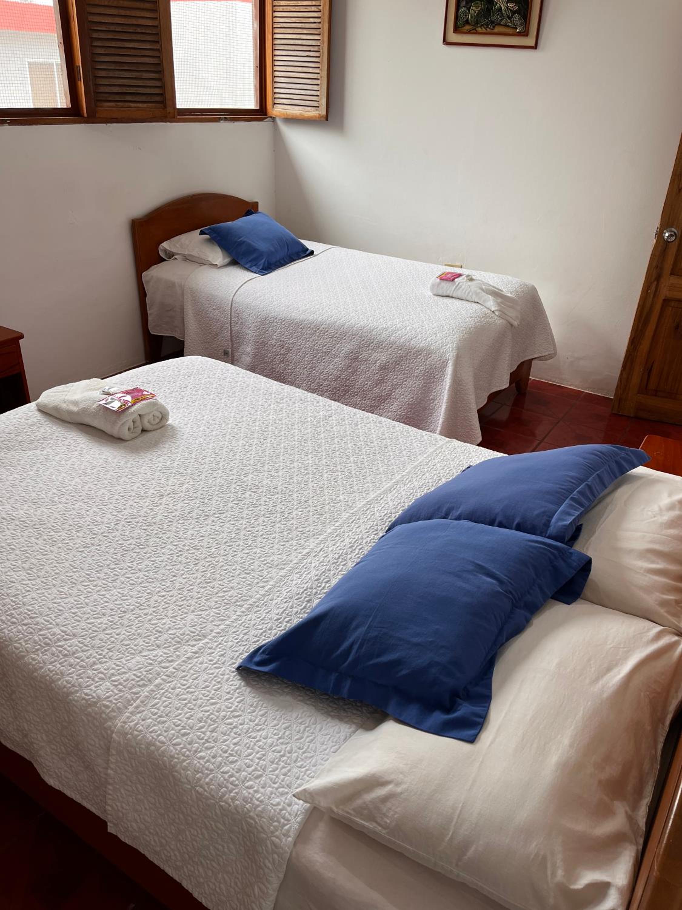 Las Gardenias Hostel - Starlink Internet