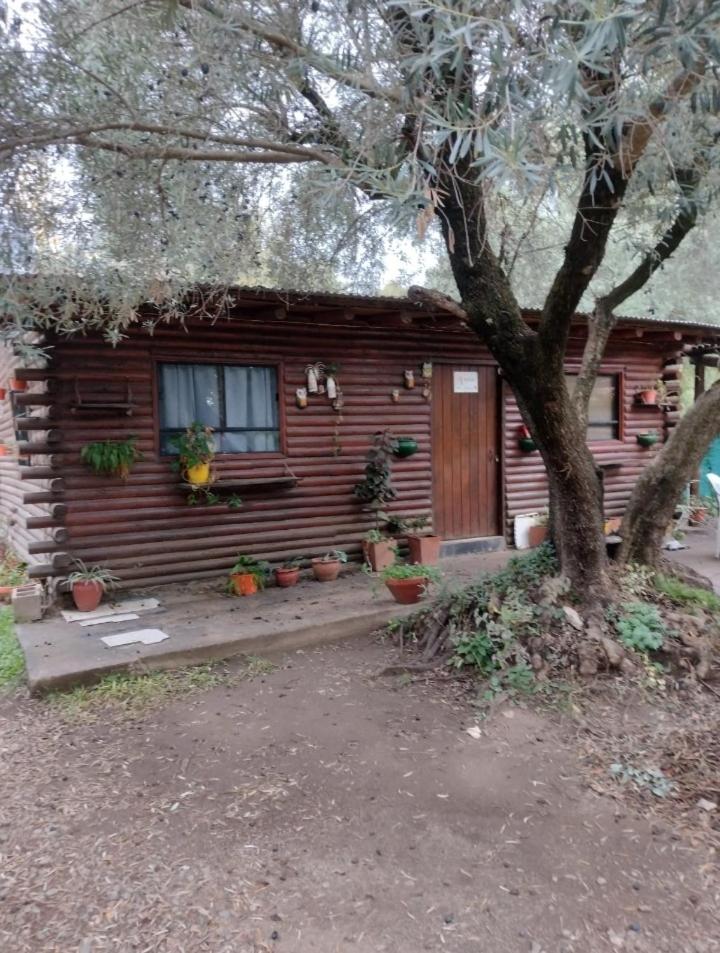 Cabañas San Nicolas