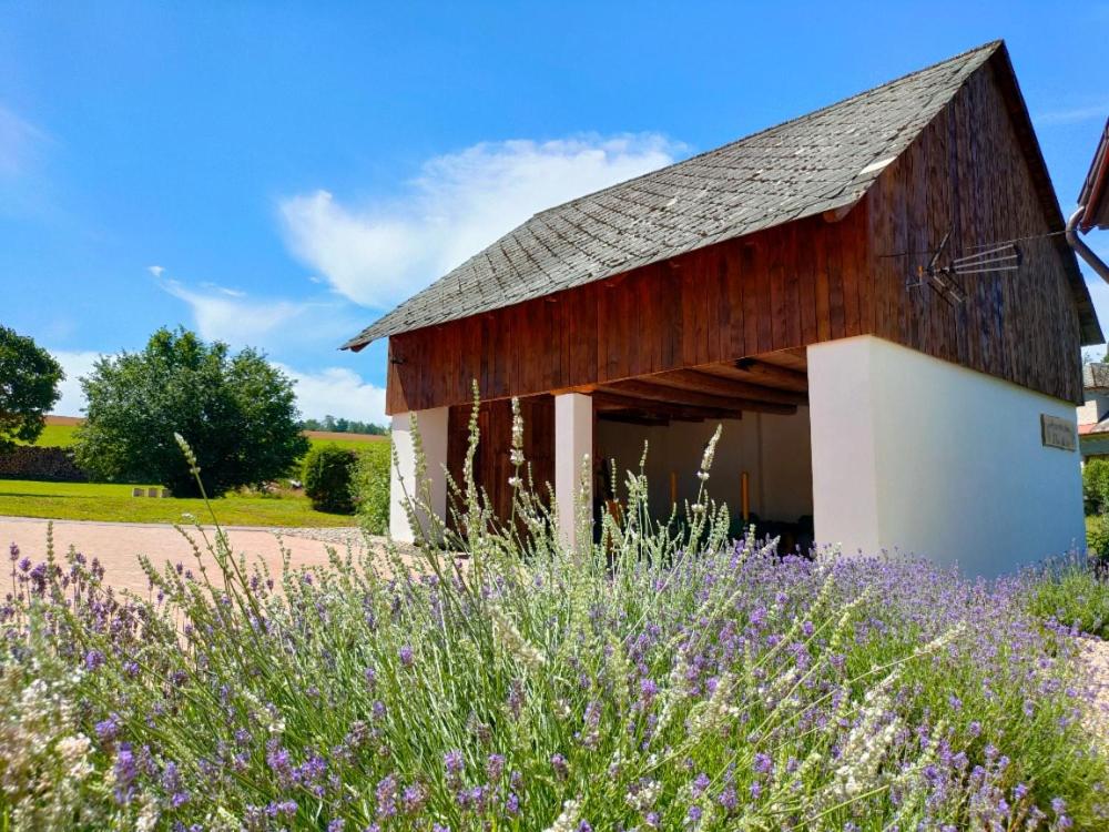 Apartmány Slavíkov - Superior Apartmán
