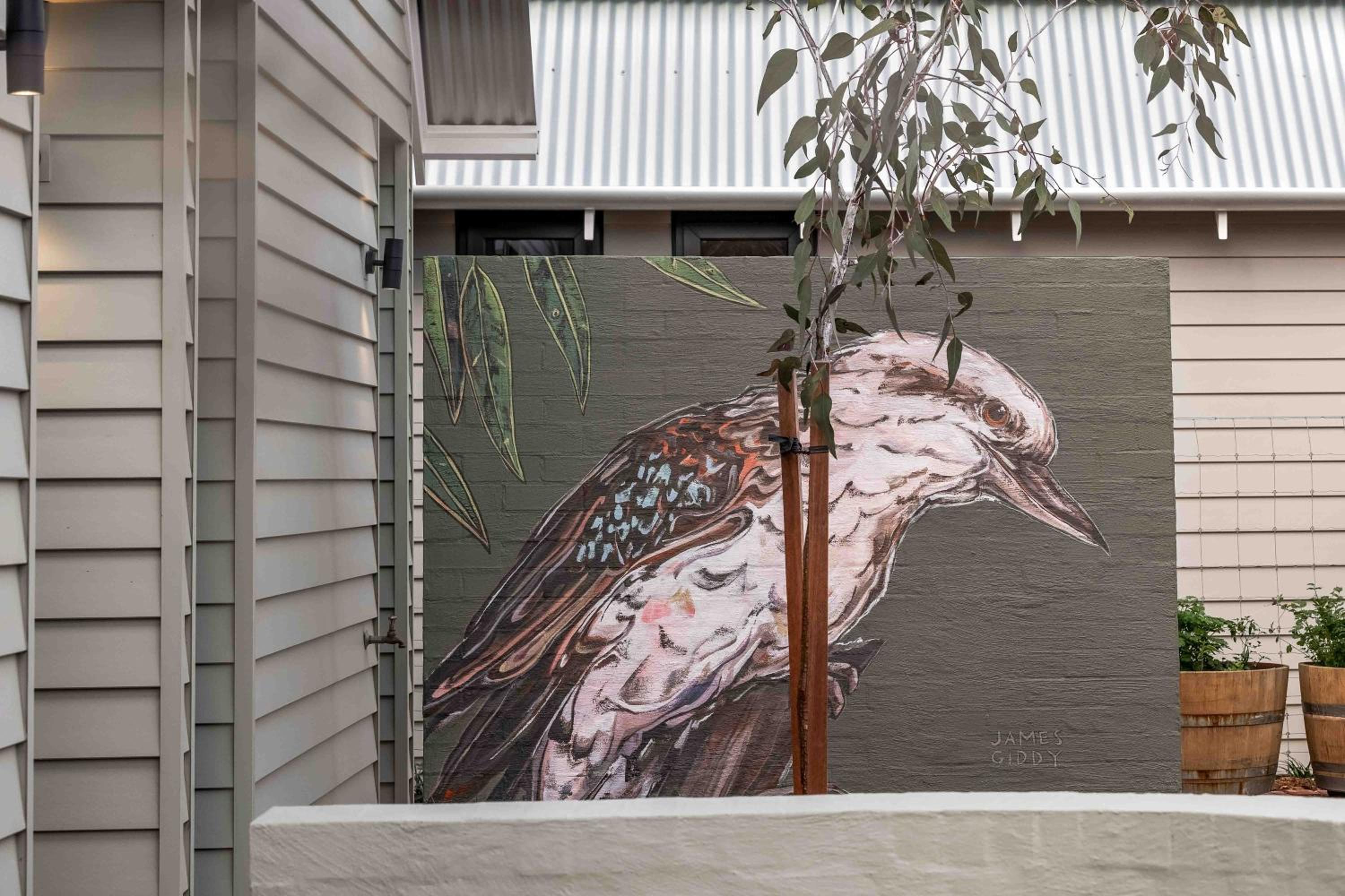 Birdnest Kookaburra