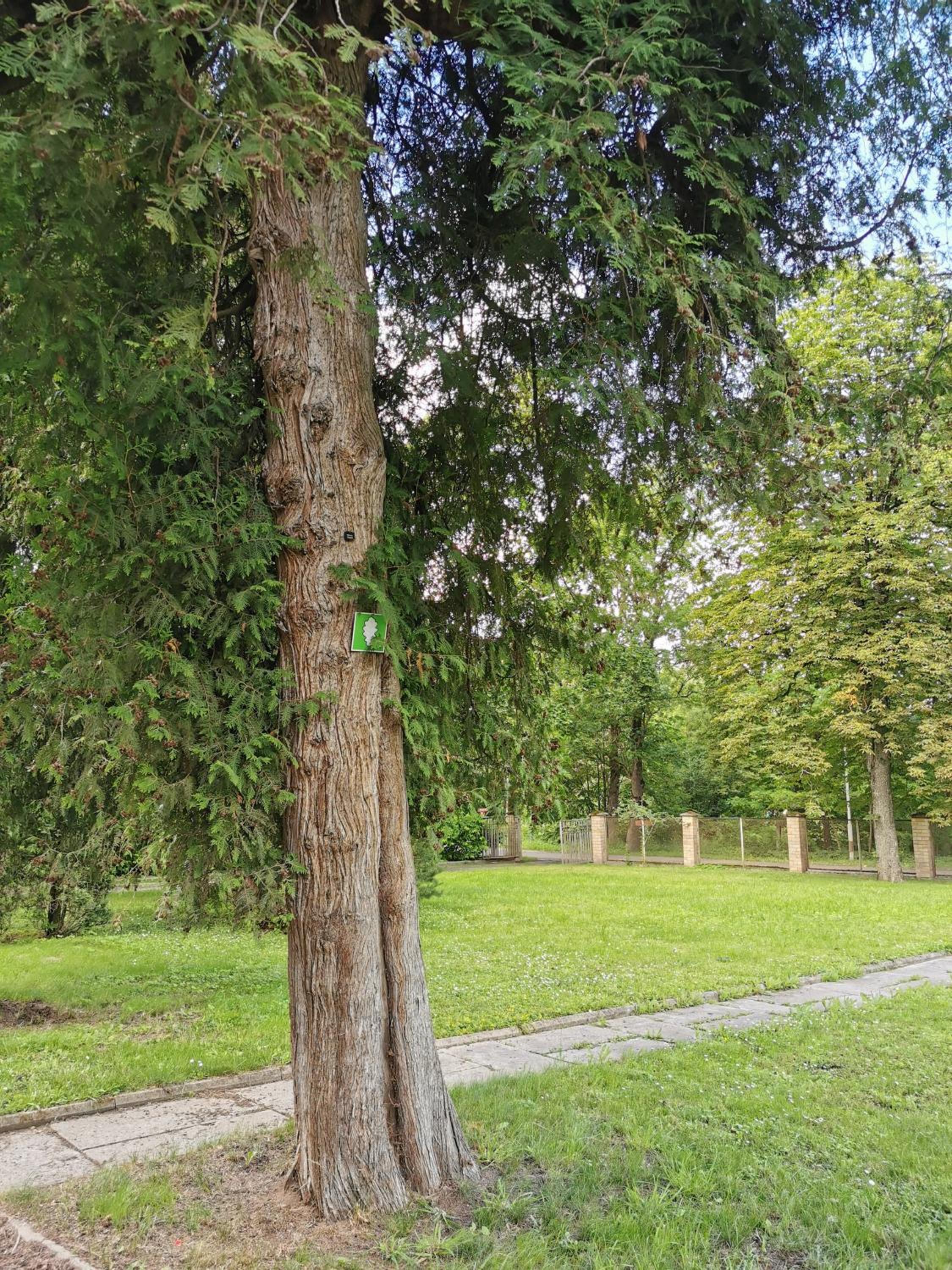 Tent place in Jelgava, Telšu vietas Jelgavā