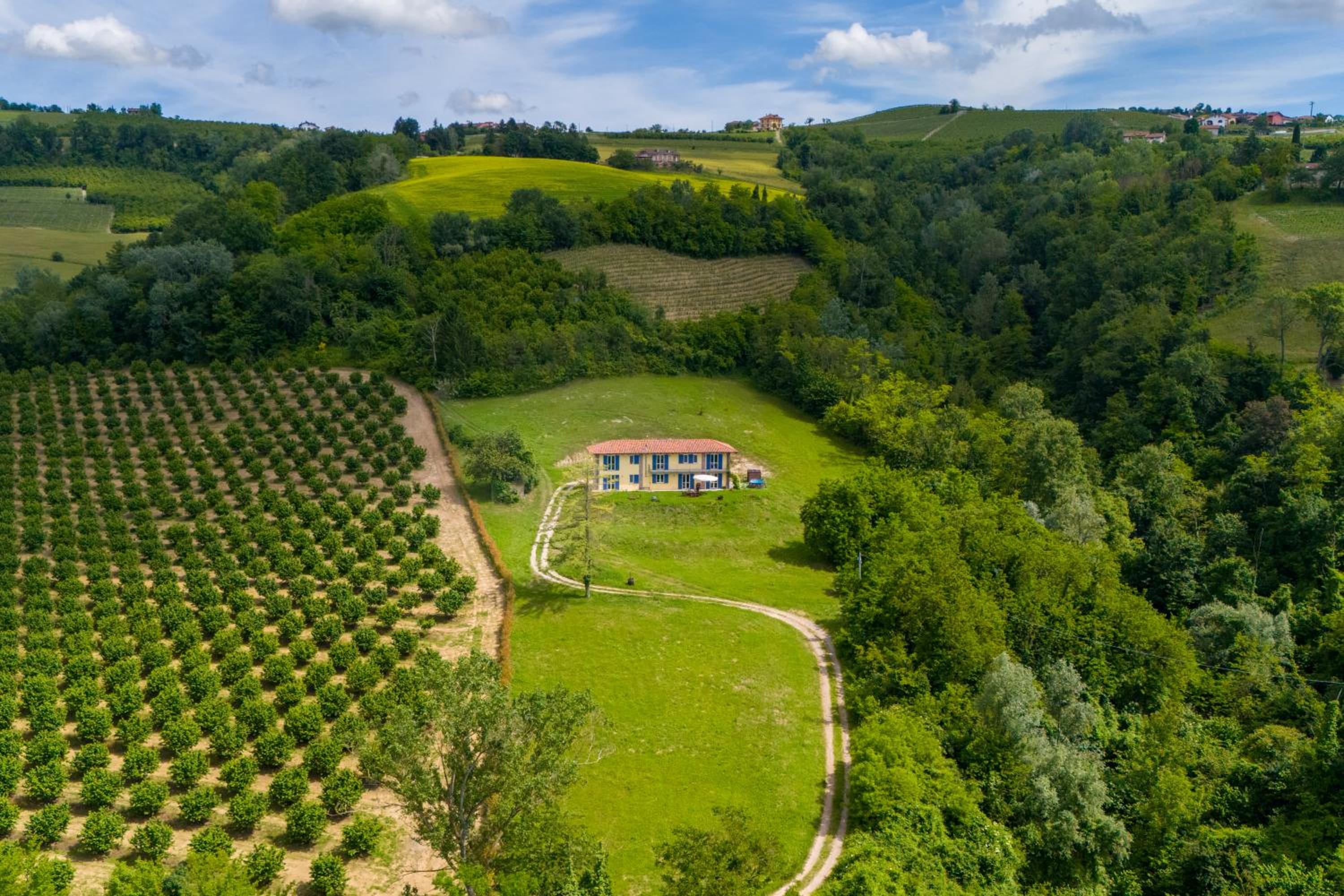 Country house in the Langhe with vineyard view 2