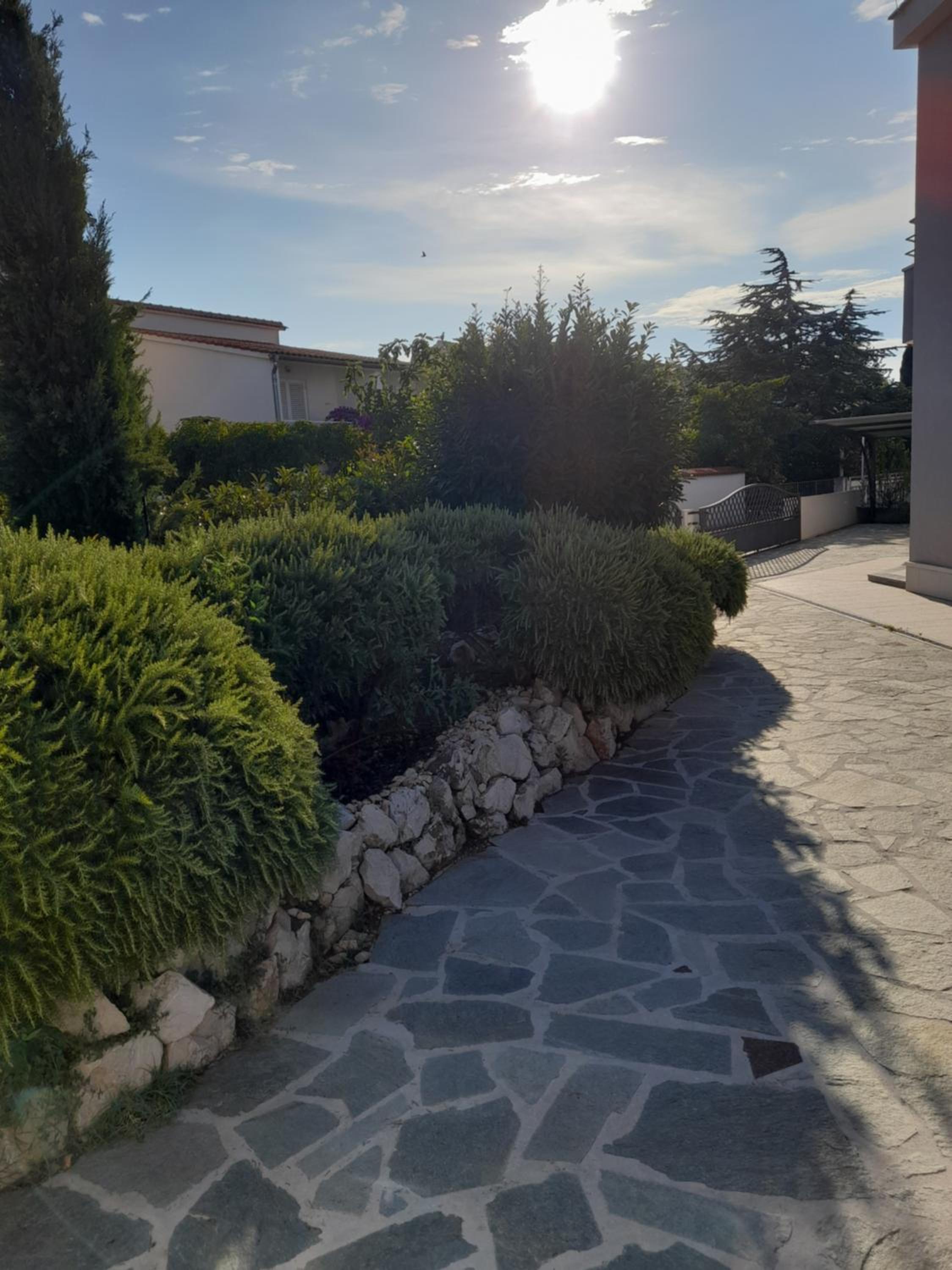Apartmani Seka 1