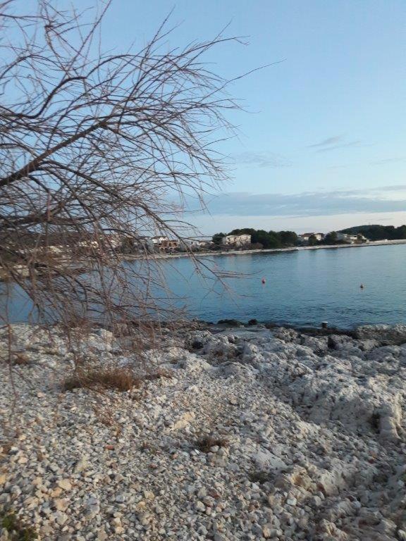 Apartmani Seka 1