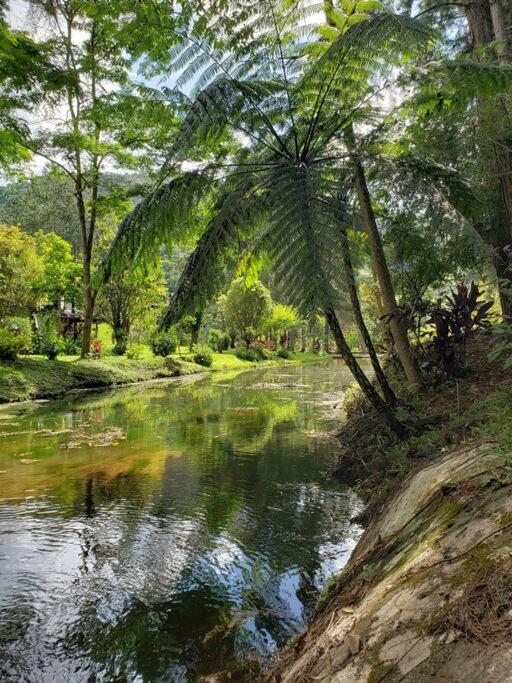 Friburgo Lagos p Pesca,Banho,Sauna,Campinho
