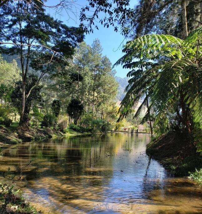 Friburgo Lagos p Pesca,Banho,Sauna,Campinho