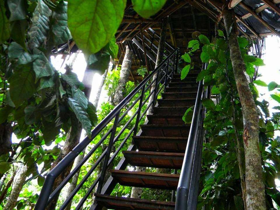 Greens Tree House & Wood House
