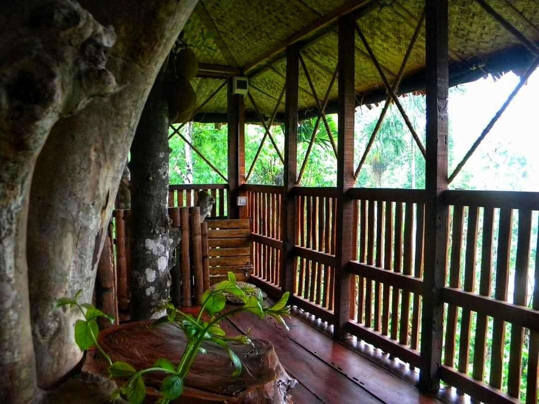 Greens Tree House & Wood House