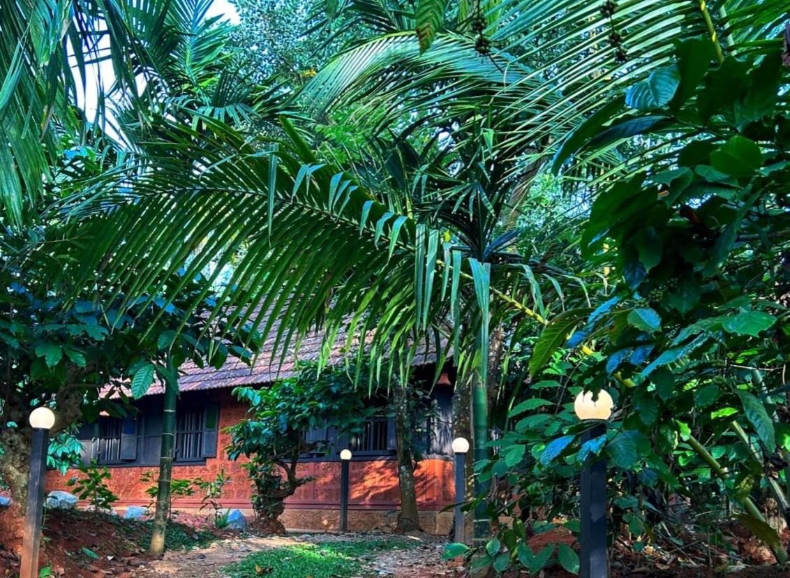 Greens Tree House & Wood House