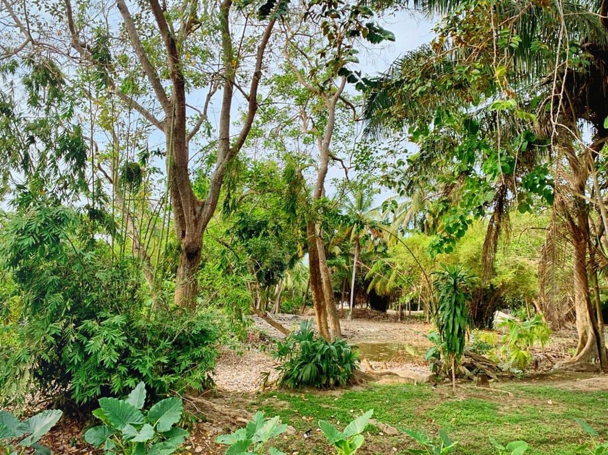 NEW beach villa w pool between Tayrona & Palomino