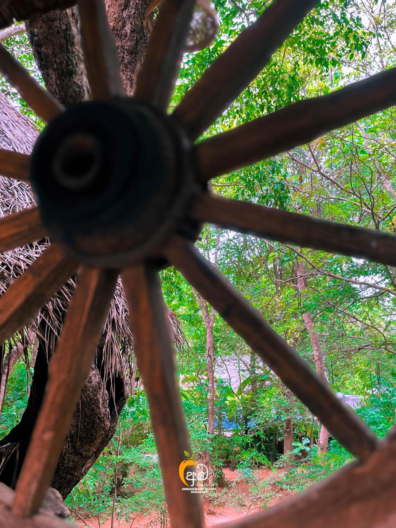 Habarana Tree House Ambasewana Resort