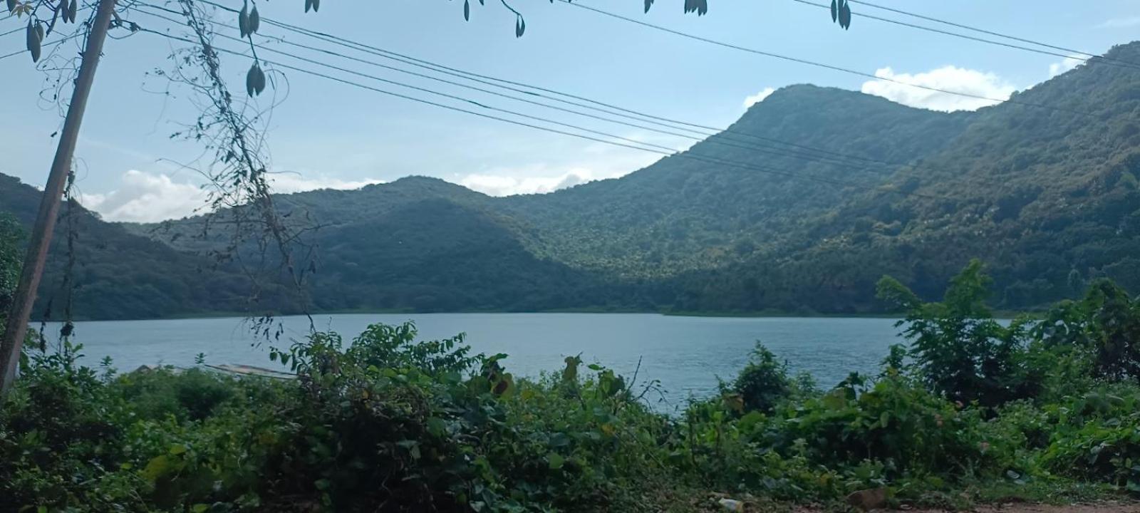 SBI Home Stay courtallum view 4