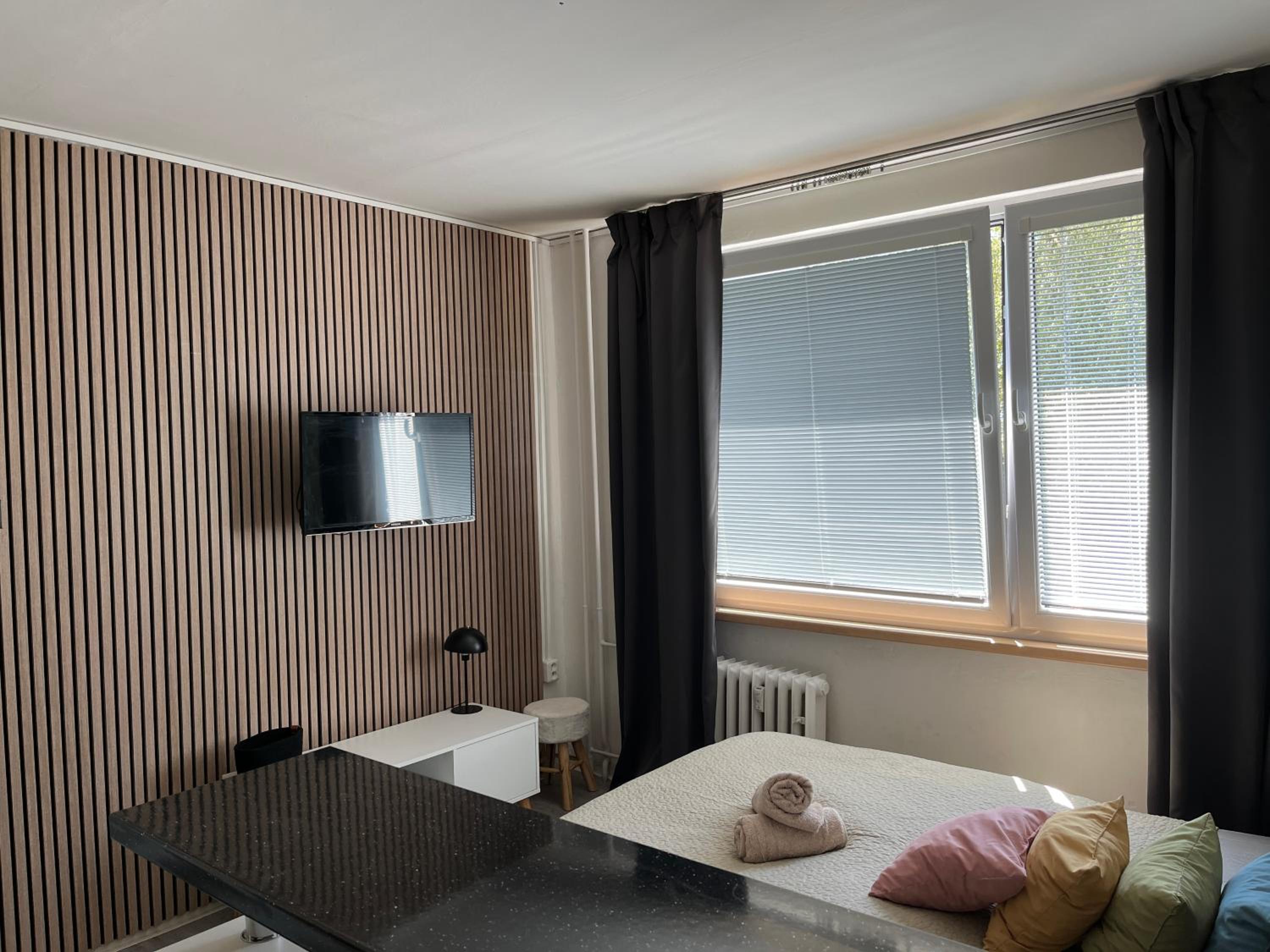 Výchozí bod pro saské Švýcarsko, pet friendly, Děčínský moderní apartmán