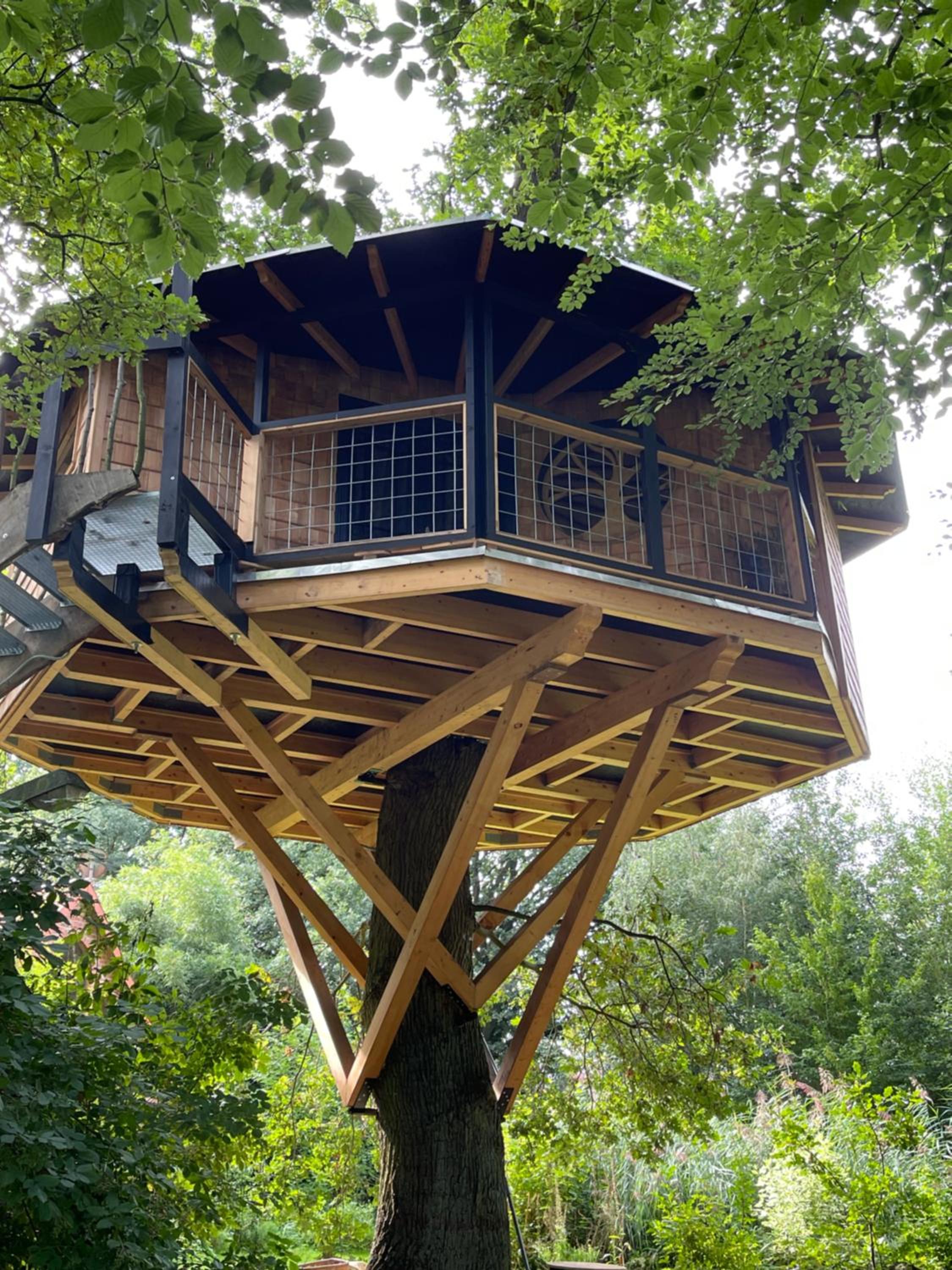 Baumhaus Solitär