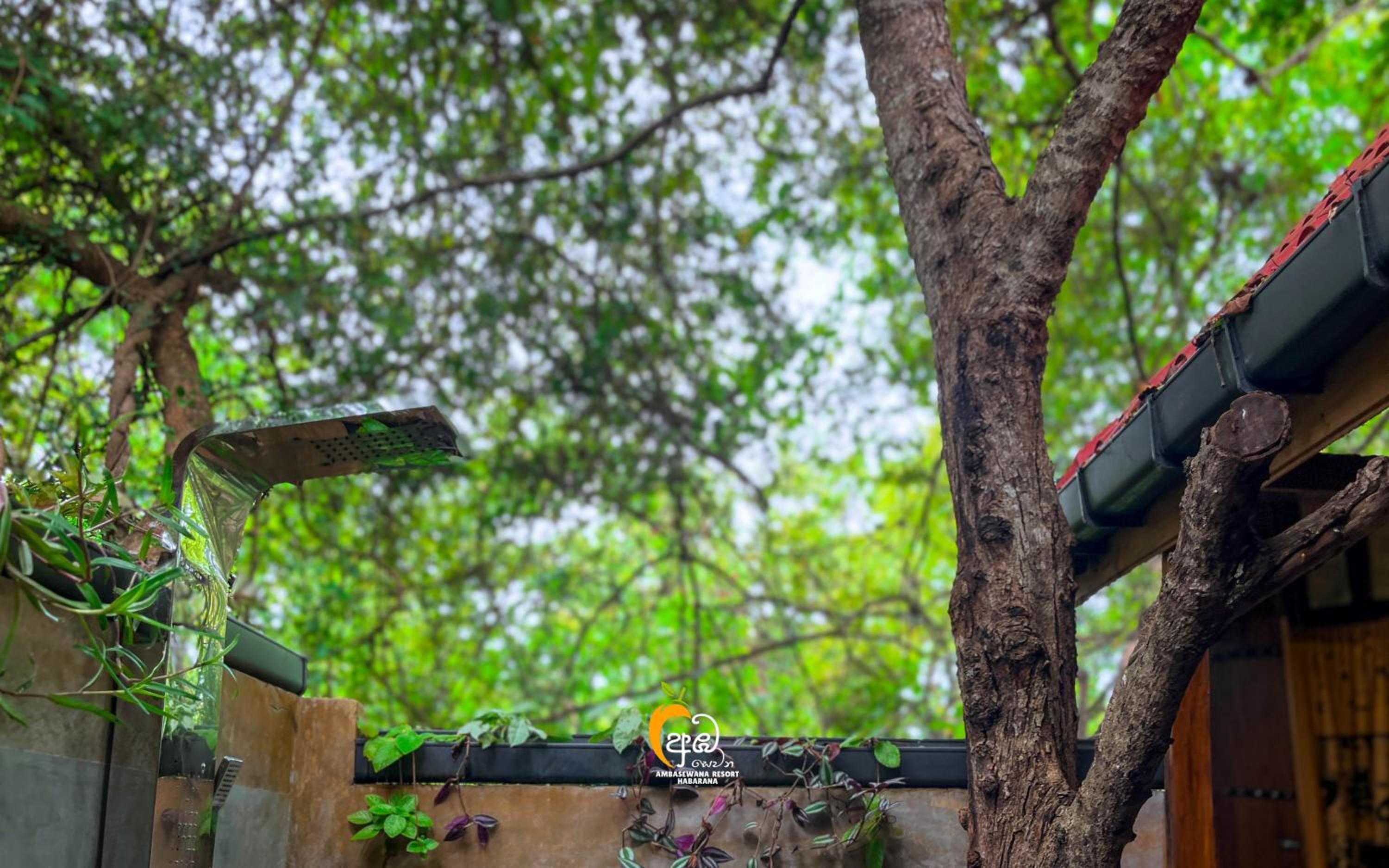 Habarana Tree House Ambasewana Resort