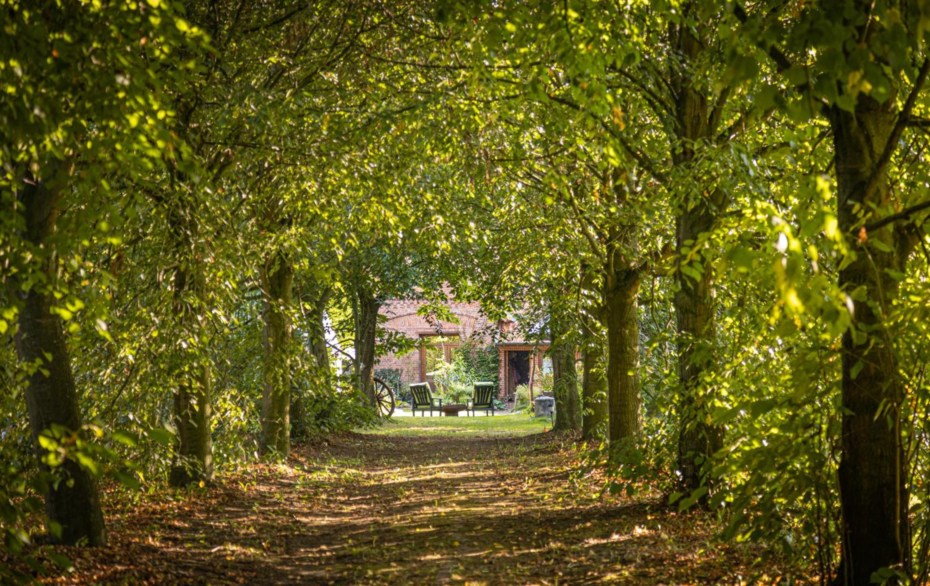 Baumhaus Solitär