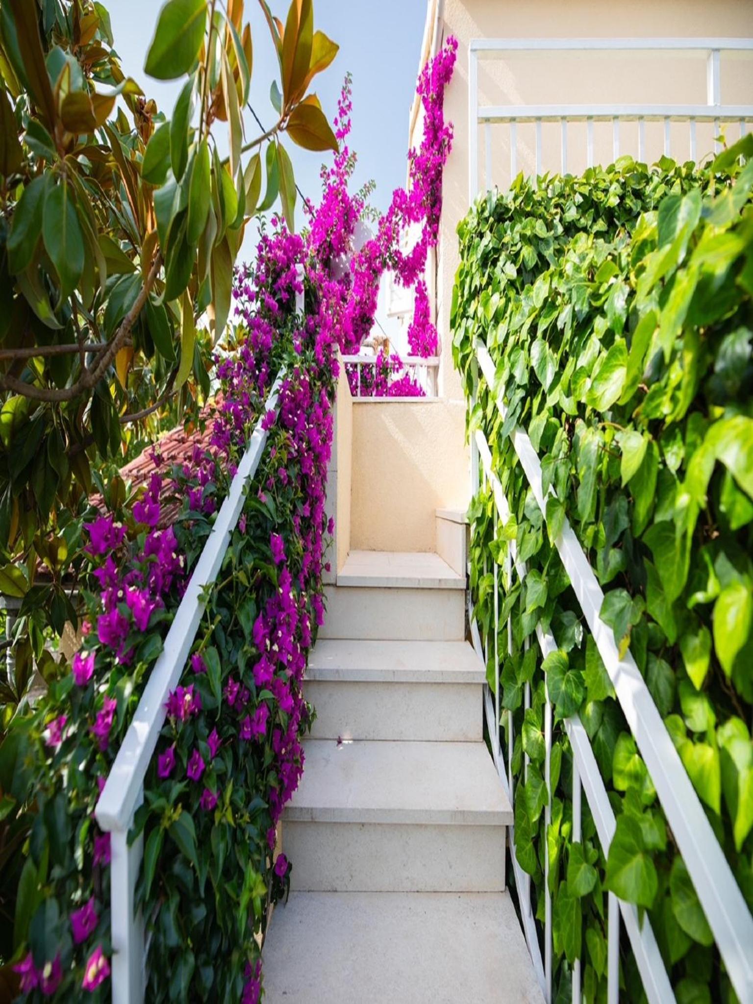 Apartments Roda