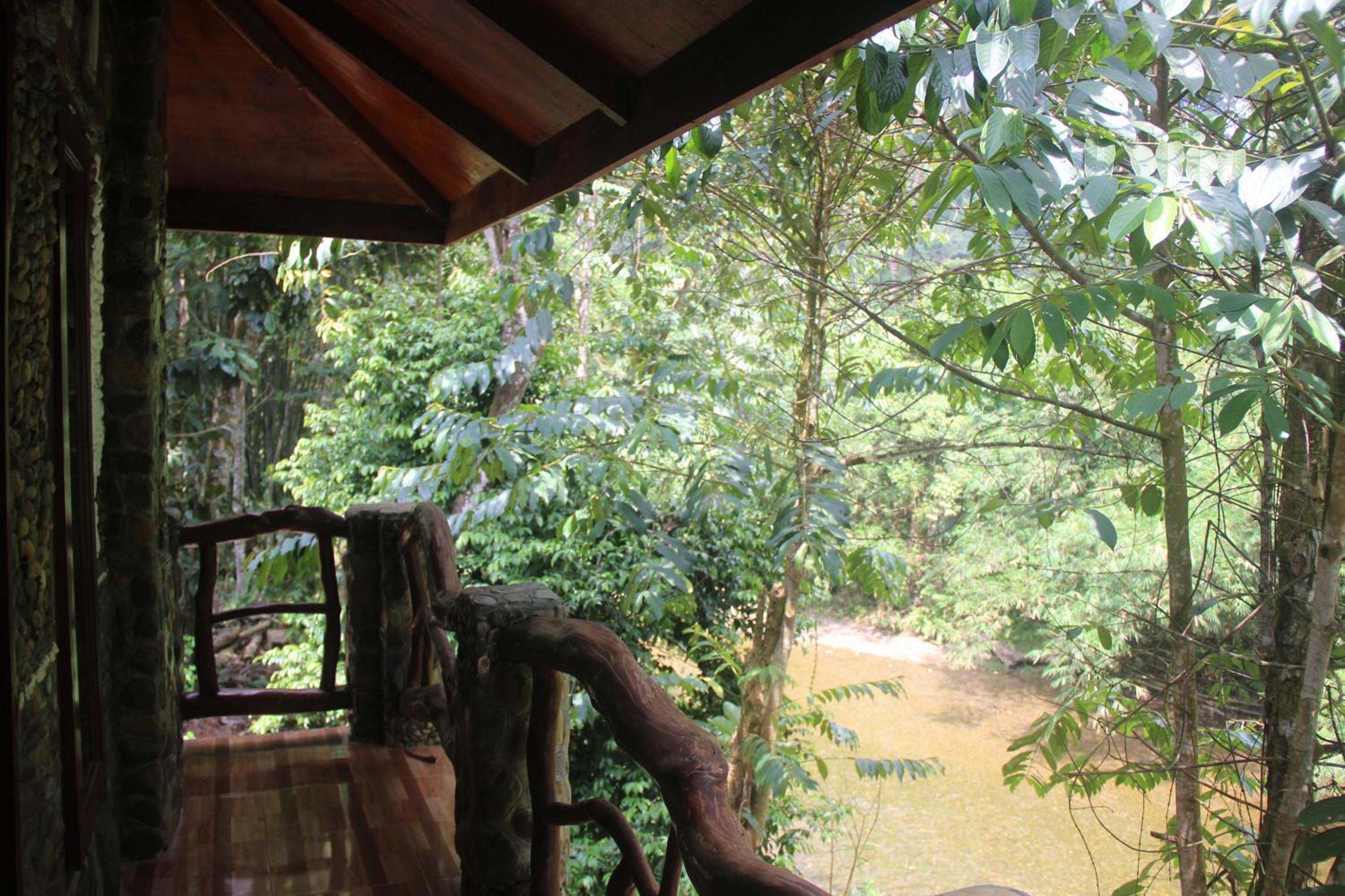 Rinte Green Village & Bukit Lawang Jungle Trekking view 2