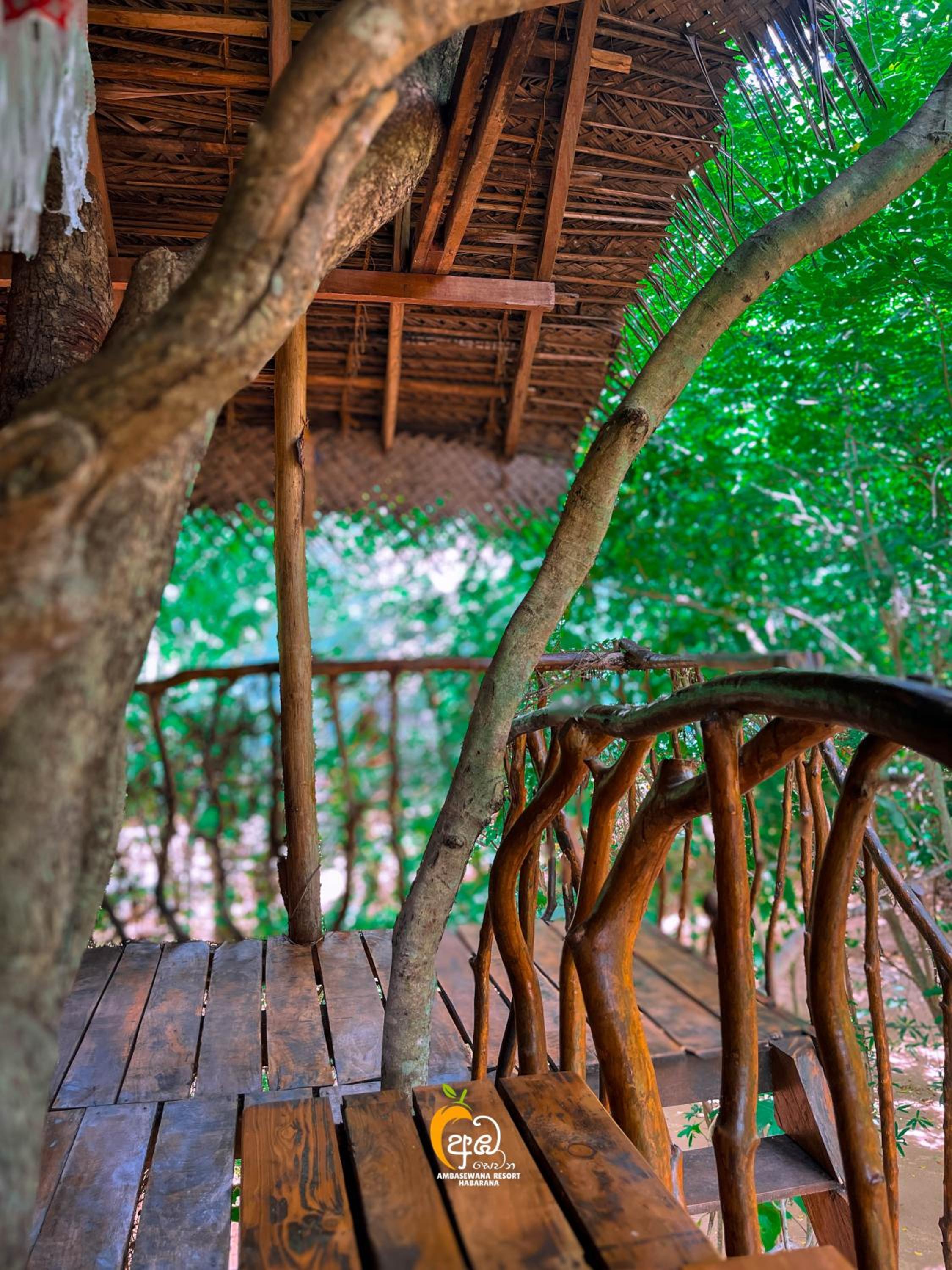 Habarana Tree House Ambasewana Resort