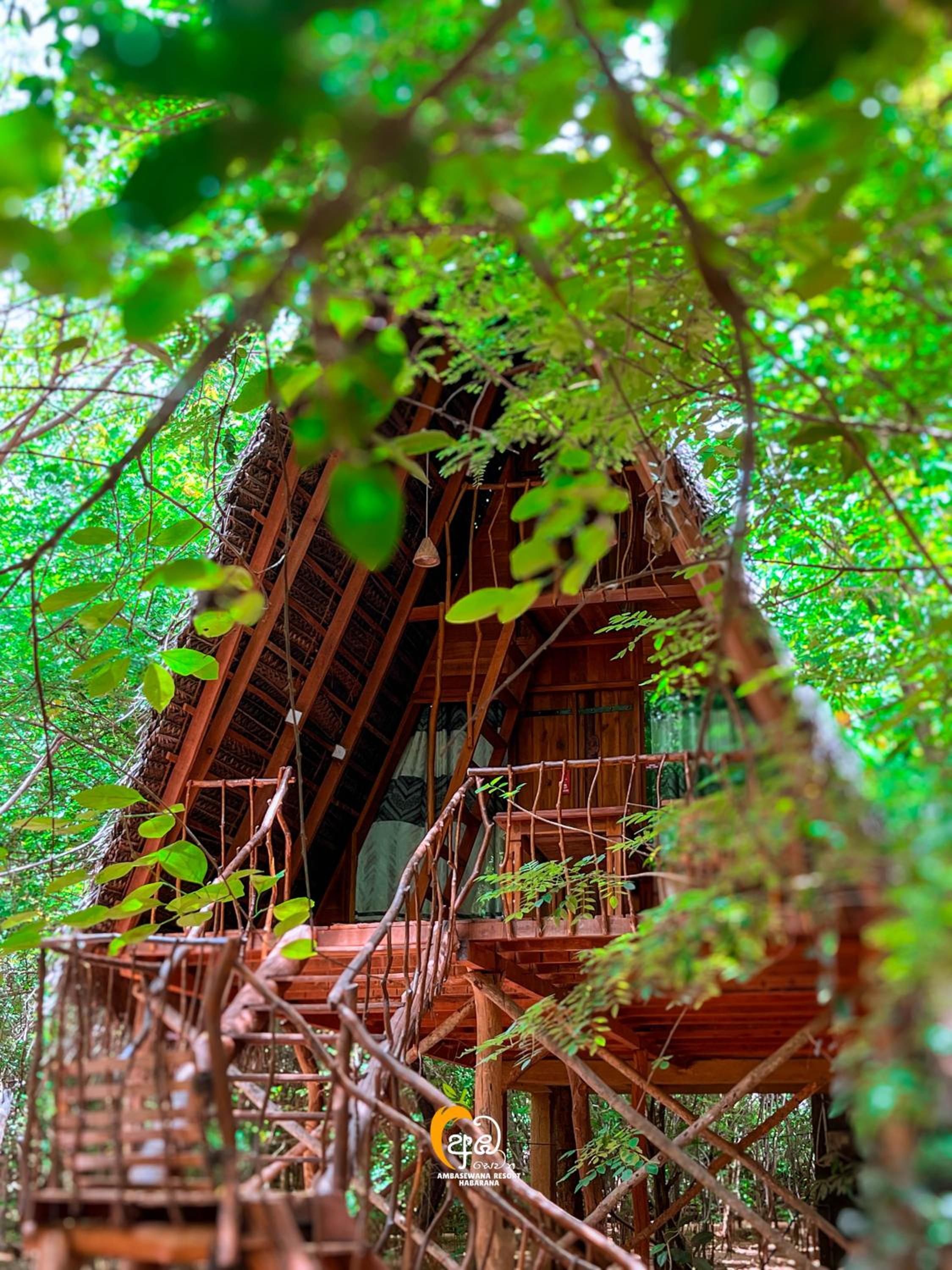 Habarana Tree House Ambasewana Resort