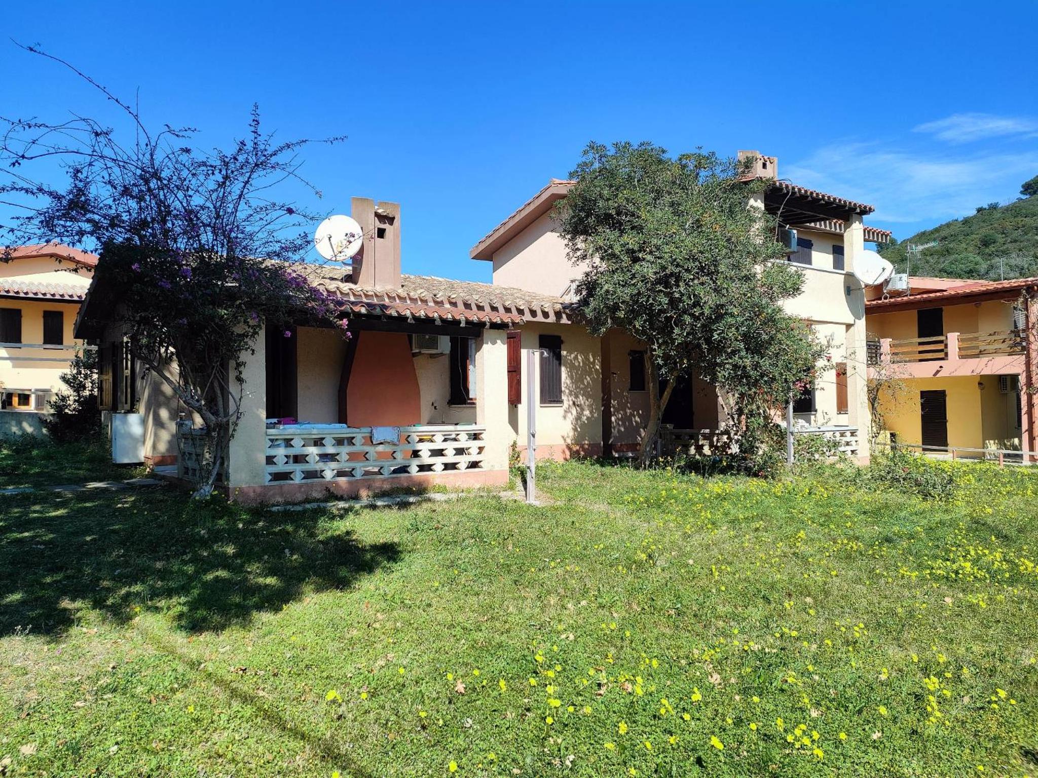 Bouganville