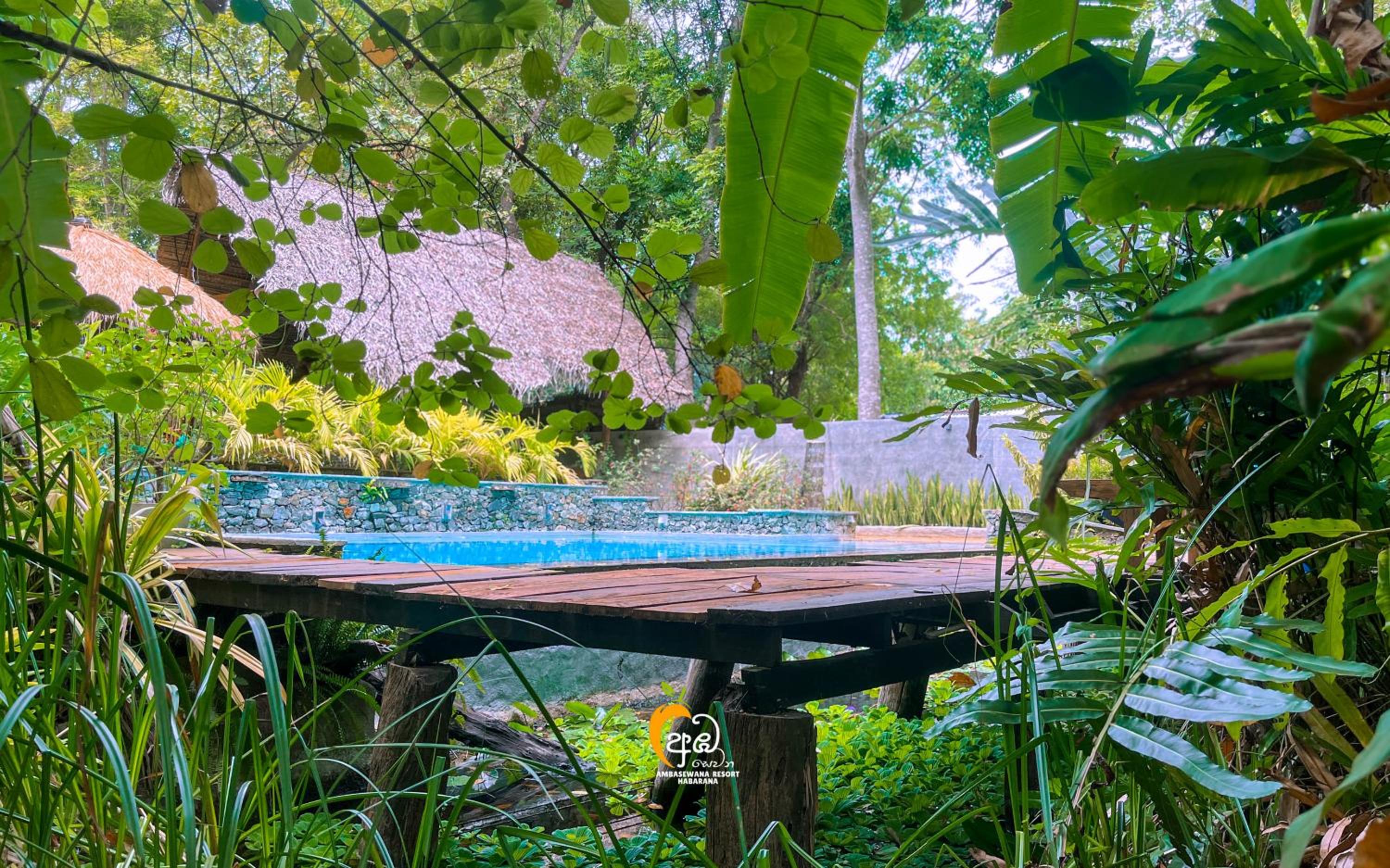 Habarana Tree House Ambasewana Resort