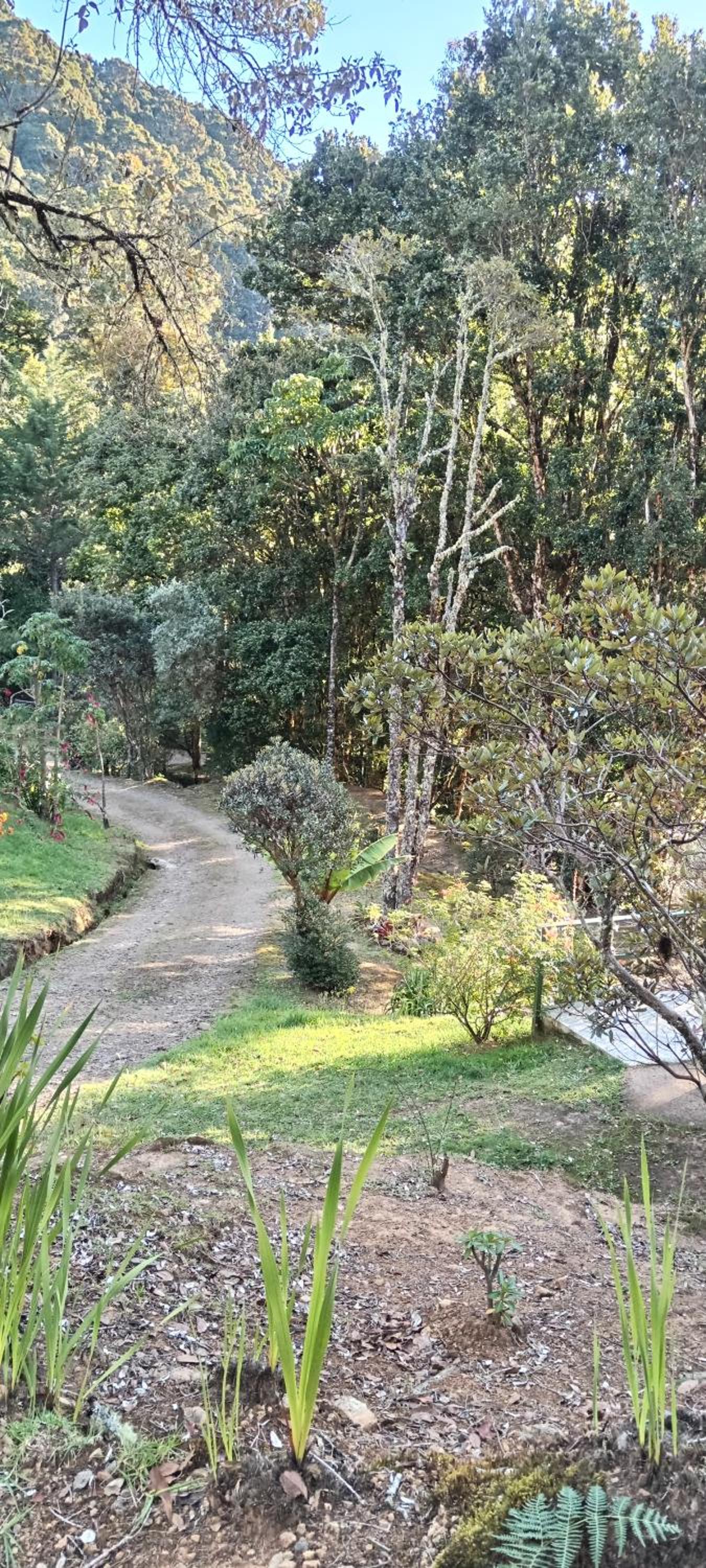 Miriam'S Quetzals lodge