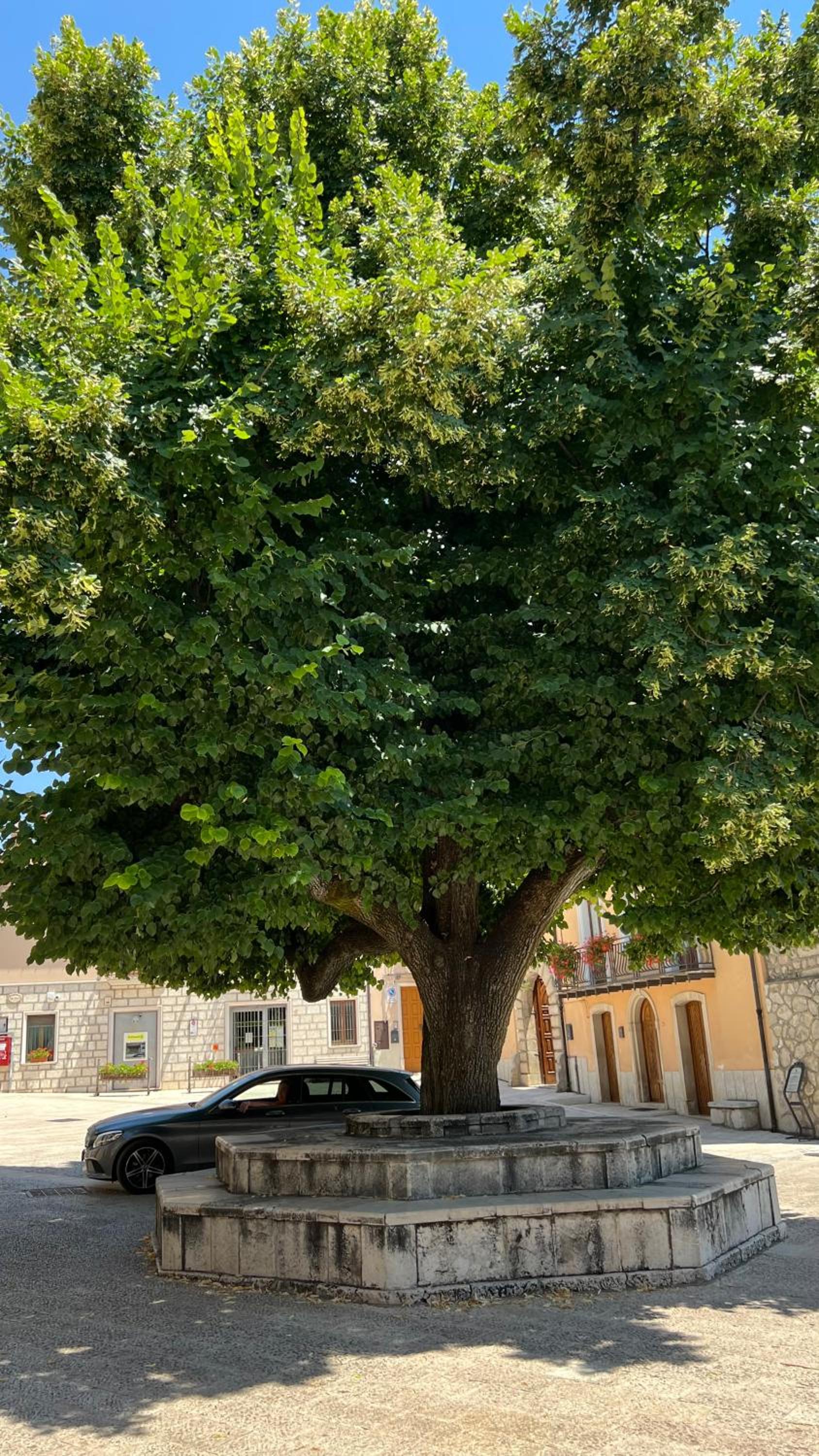 Appartamenti Rocchesi
