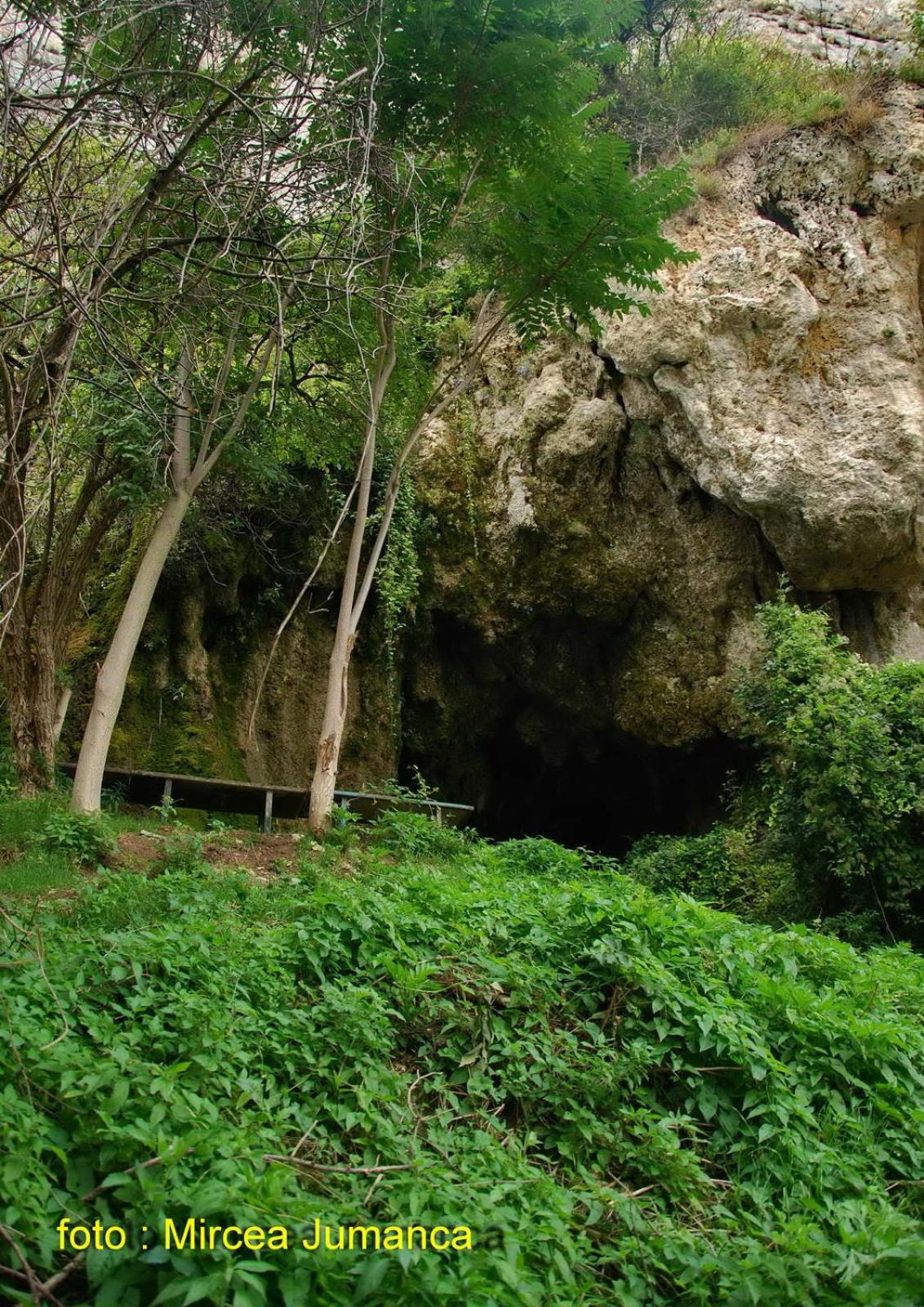 Panoramic House