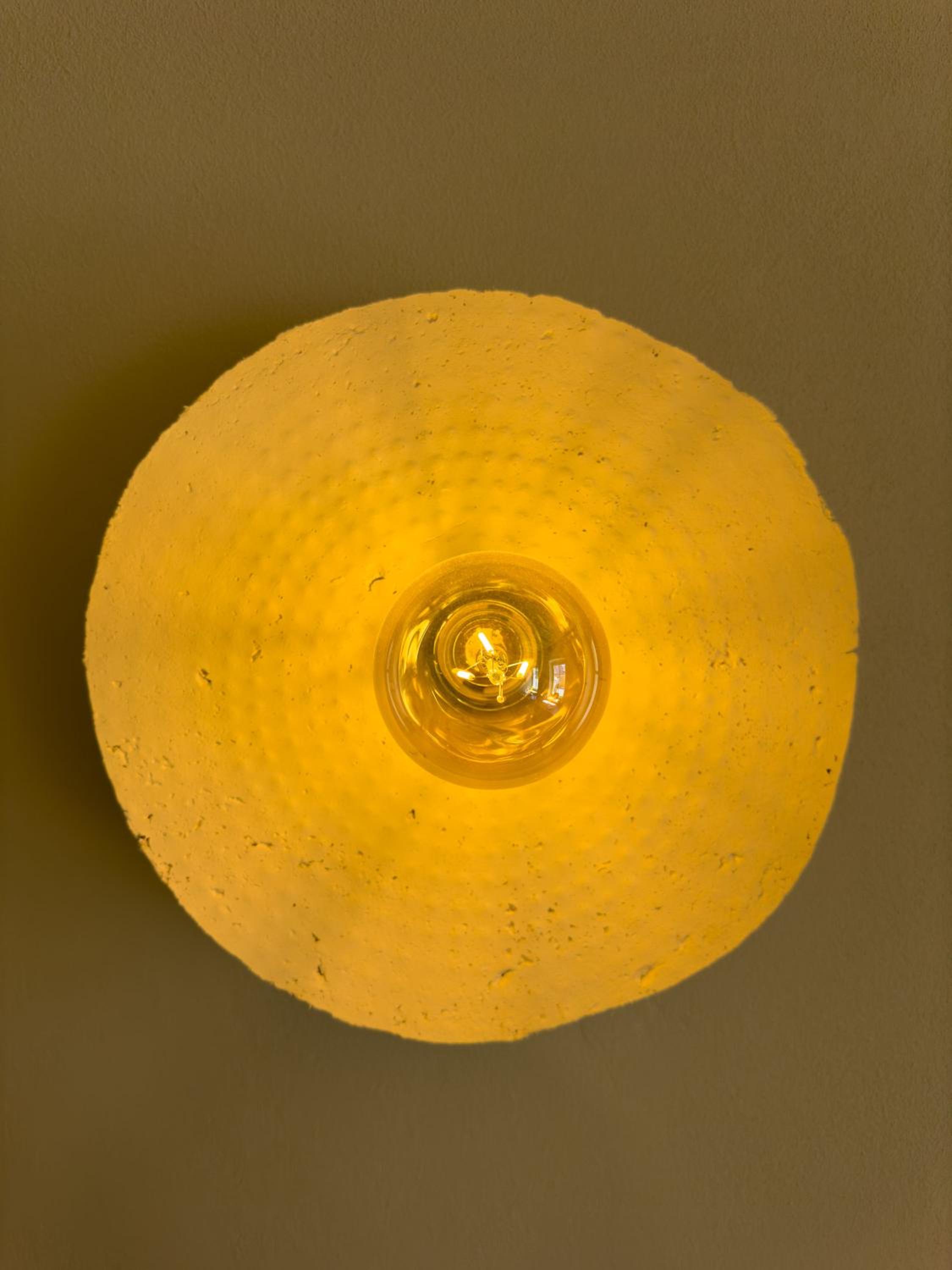Porumbacu 216