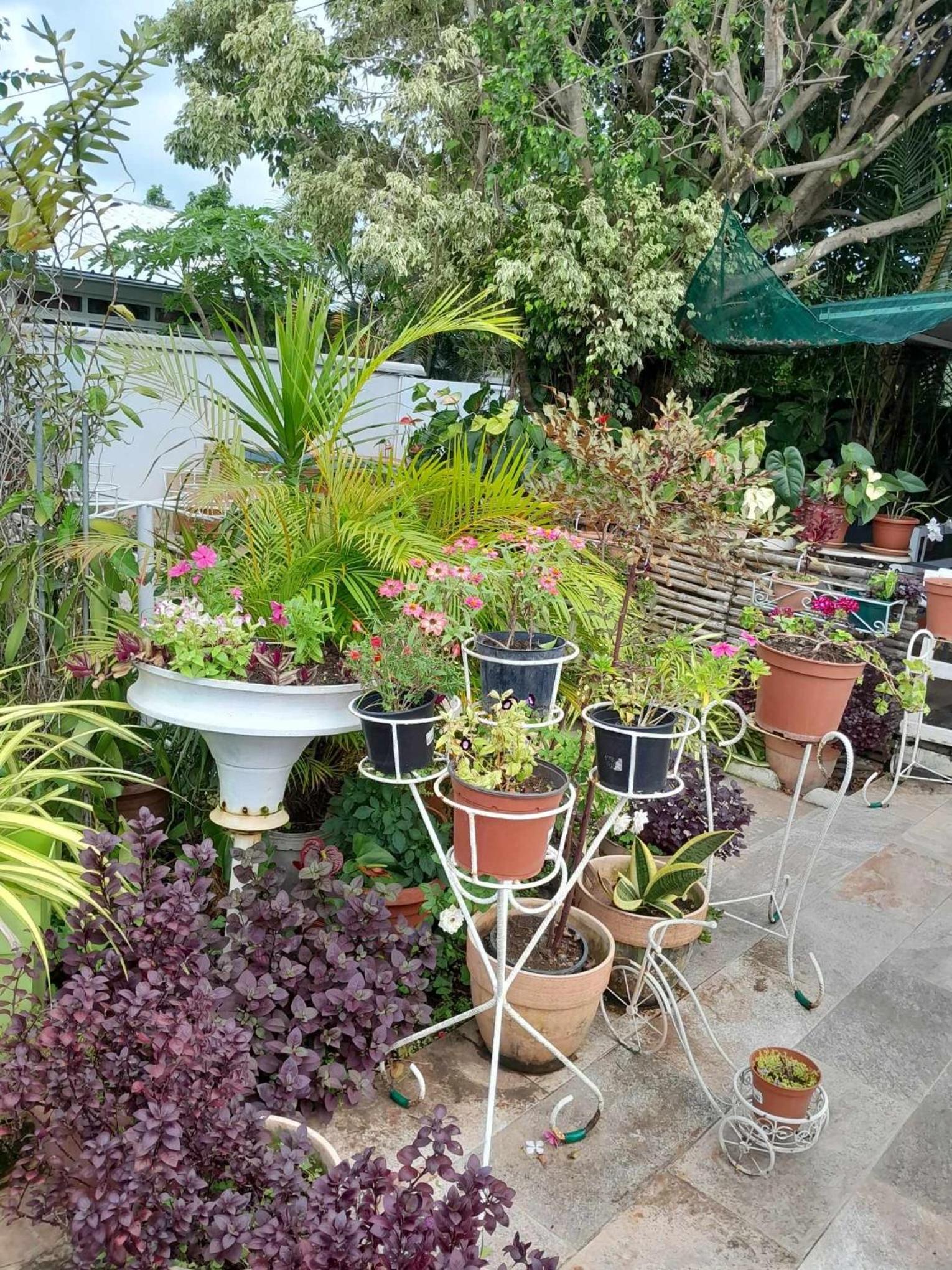 Maison de vacances à Bras-Panon view 2