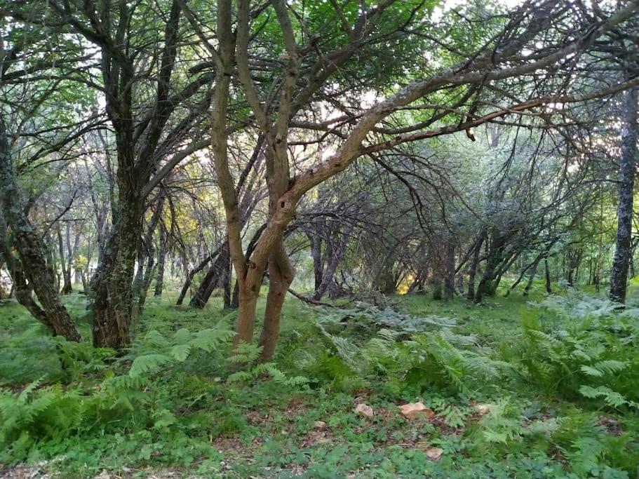 La casita de Duratón
