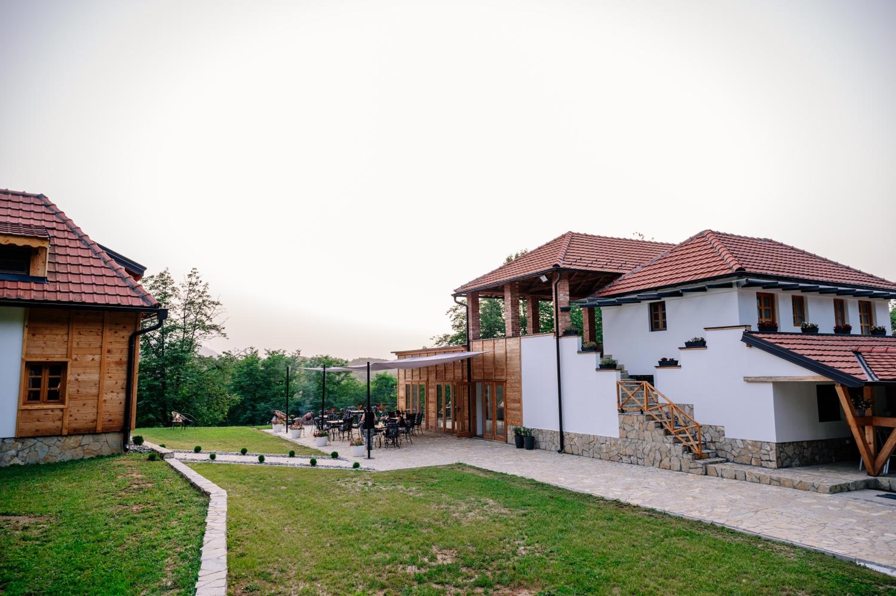 STD Koreni
