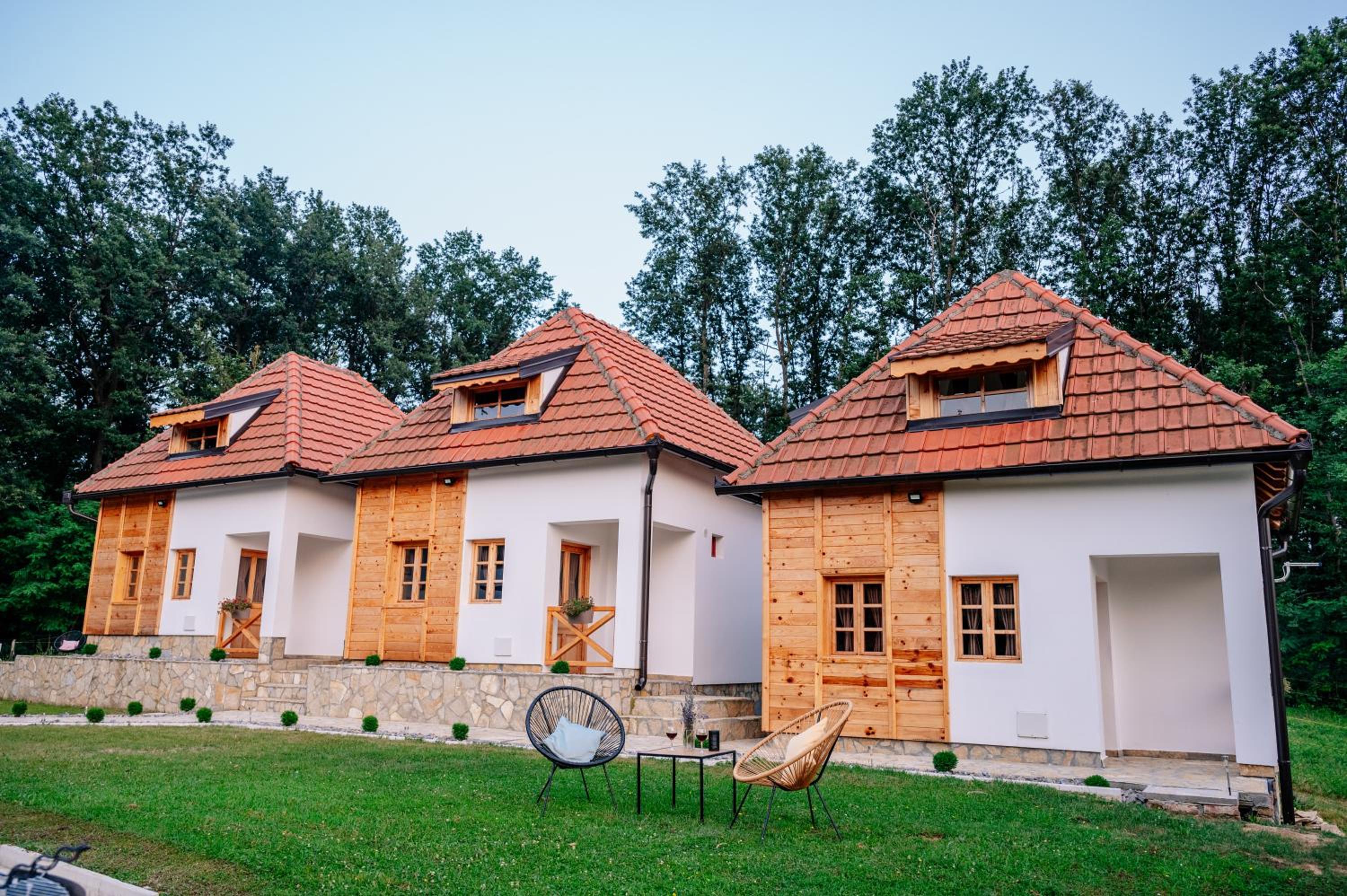 STD Koreni