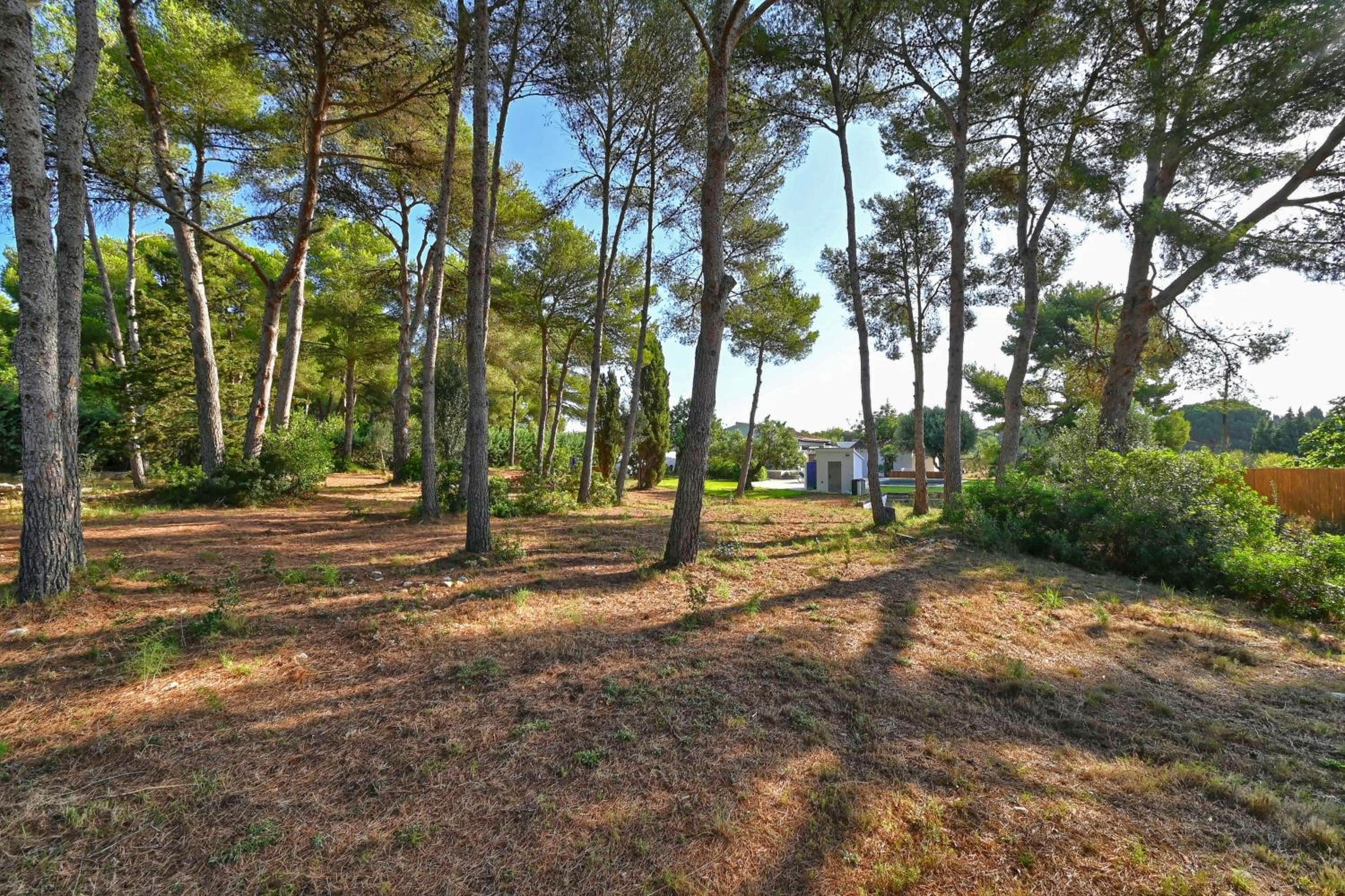 Bonita stay B Cape Piscina caliente fibra BBQ