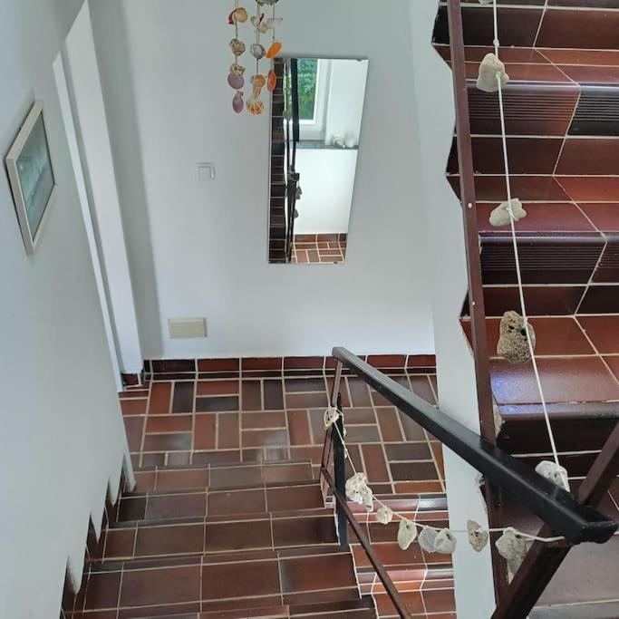 Casa Soraia nell'isola dei sogni